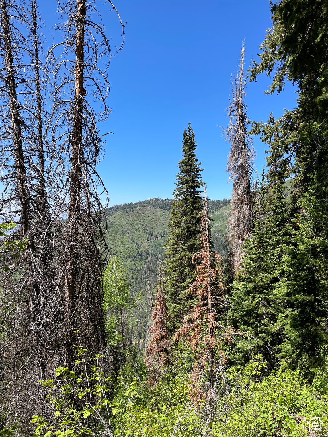 Land, Mt Pleasant, Utah image 28