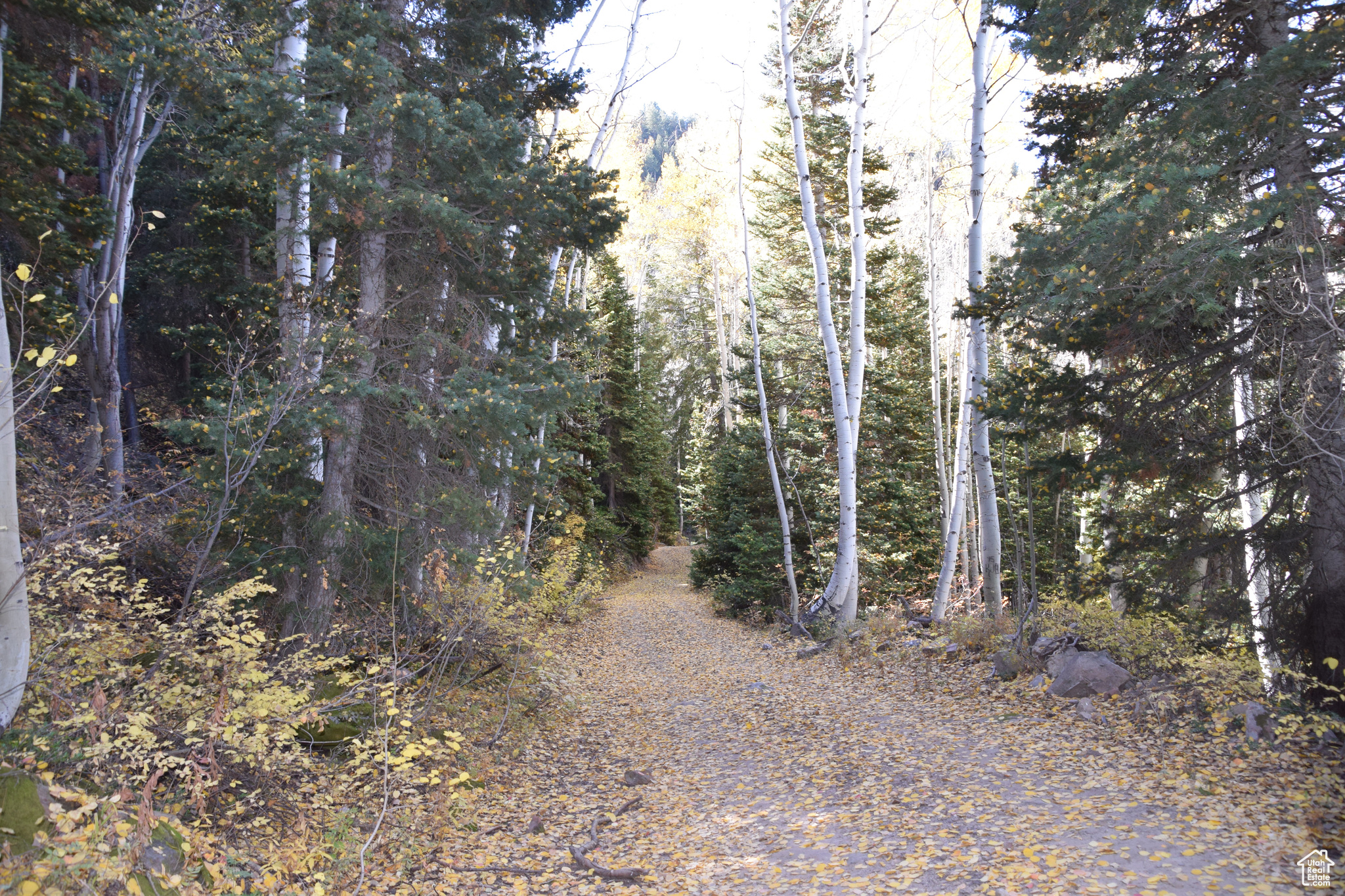Land, Mt Pleasant, Utah image 25