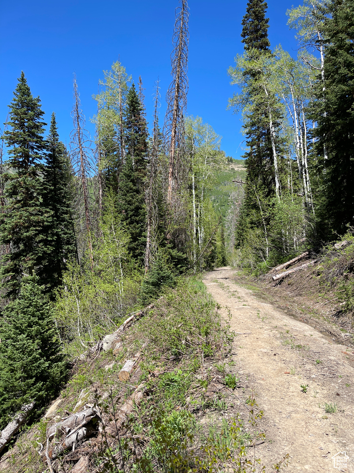 Land, Mt Pleasant, Utah image 30