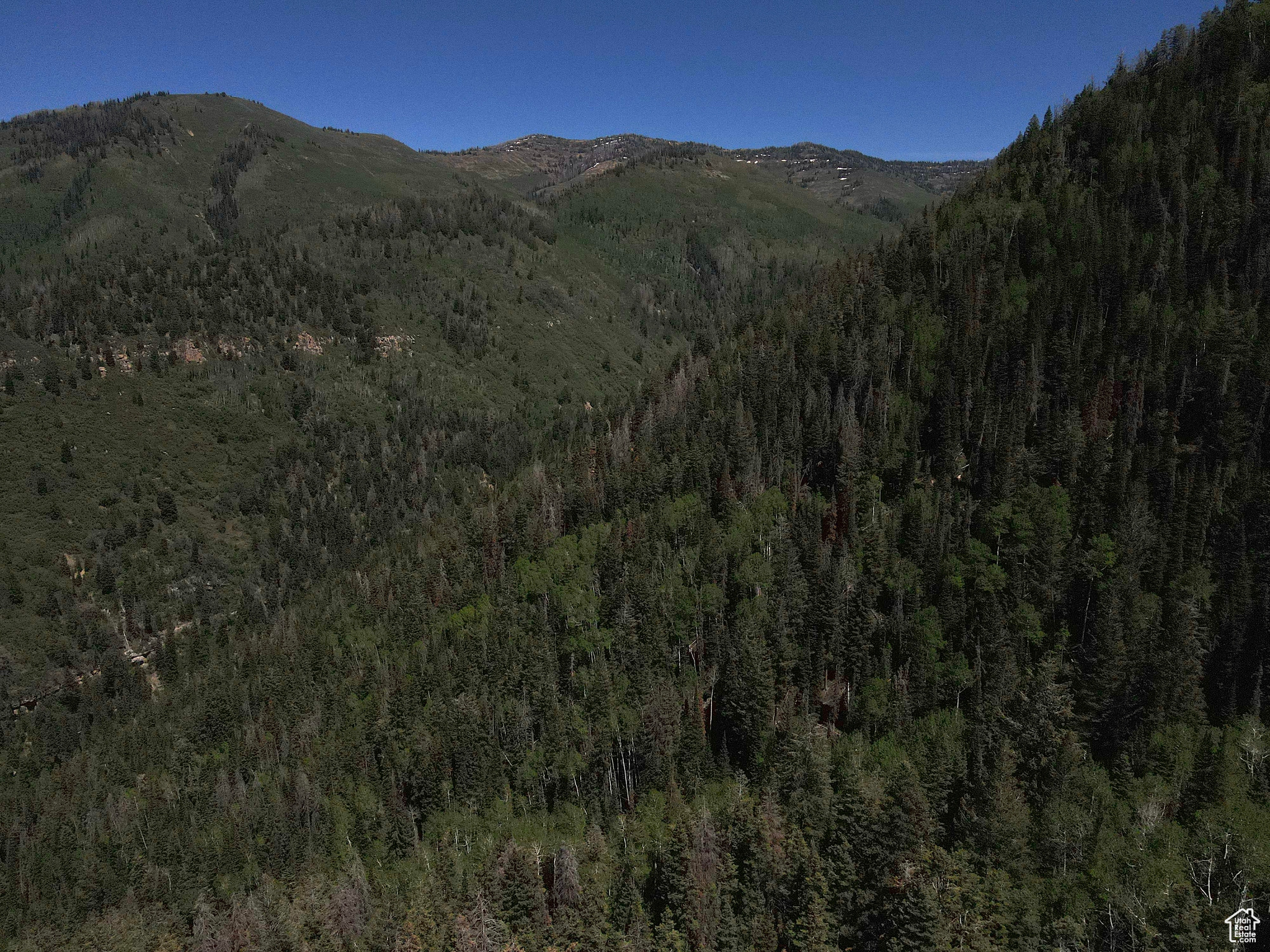 Land, Mt Pleasant, Utah image 48