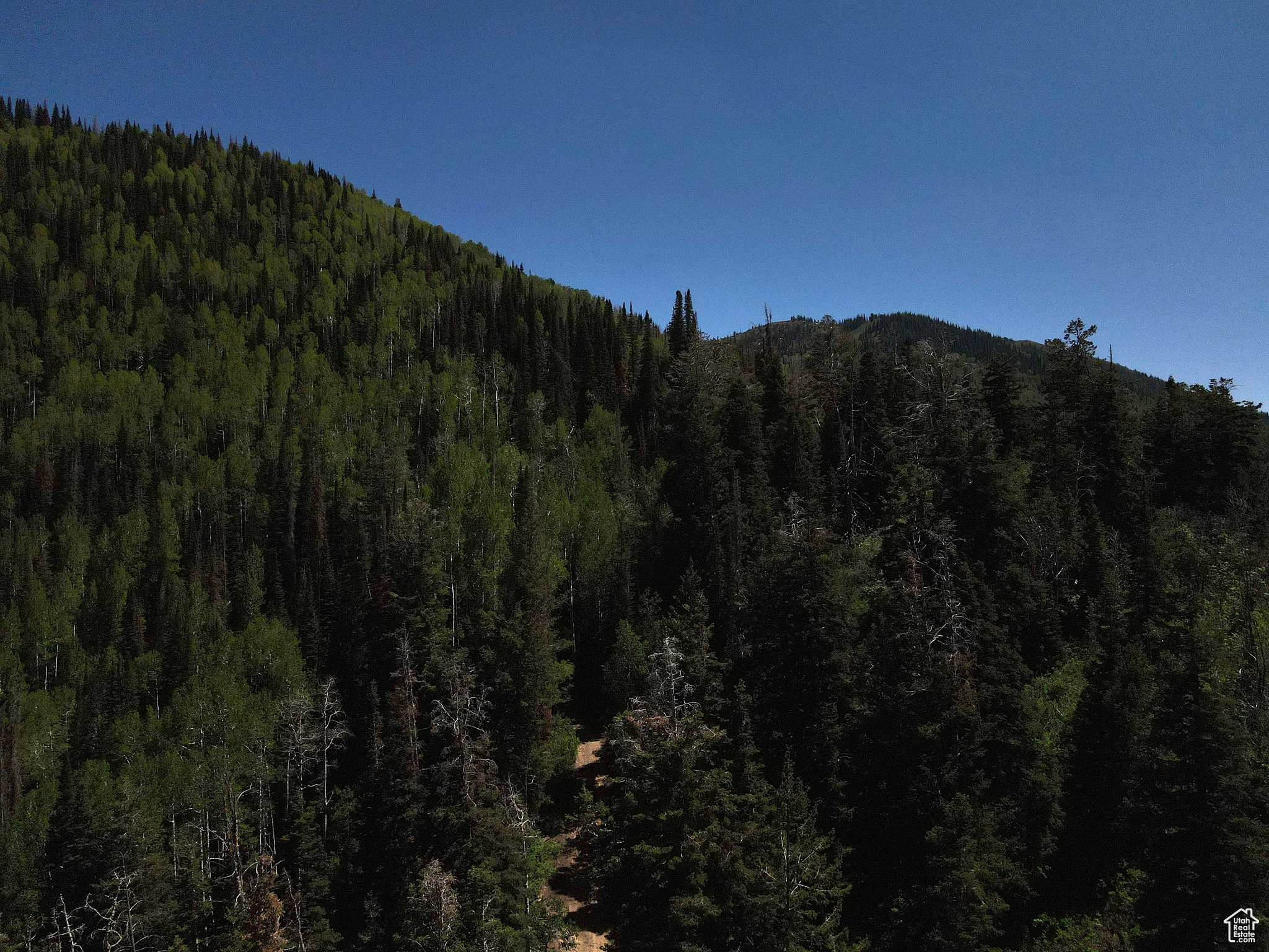 Land, Mt Pleasant, Utah image 42
