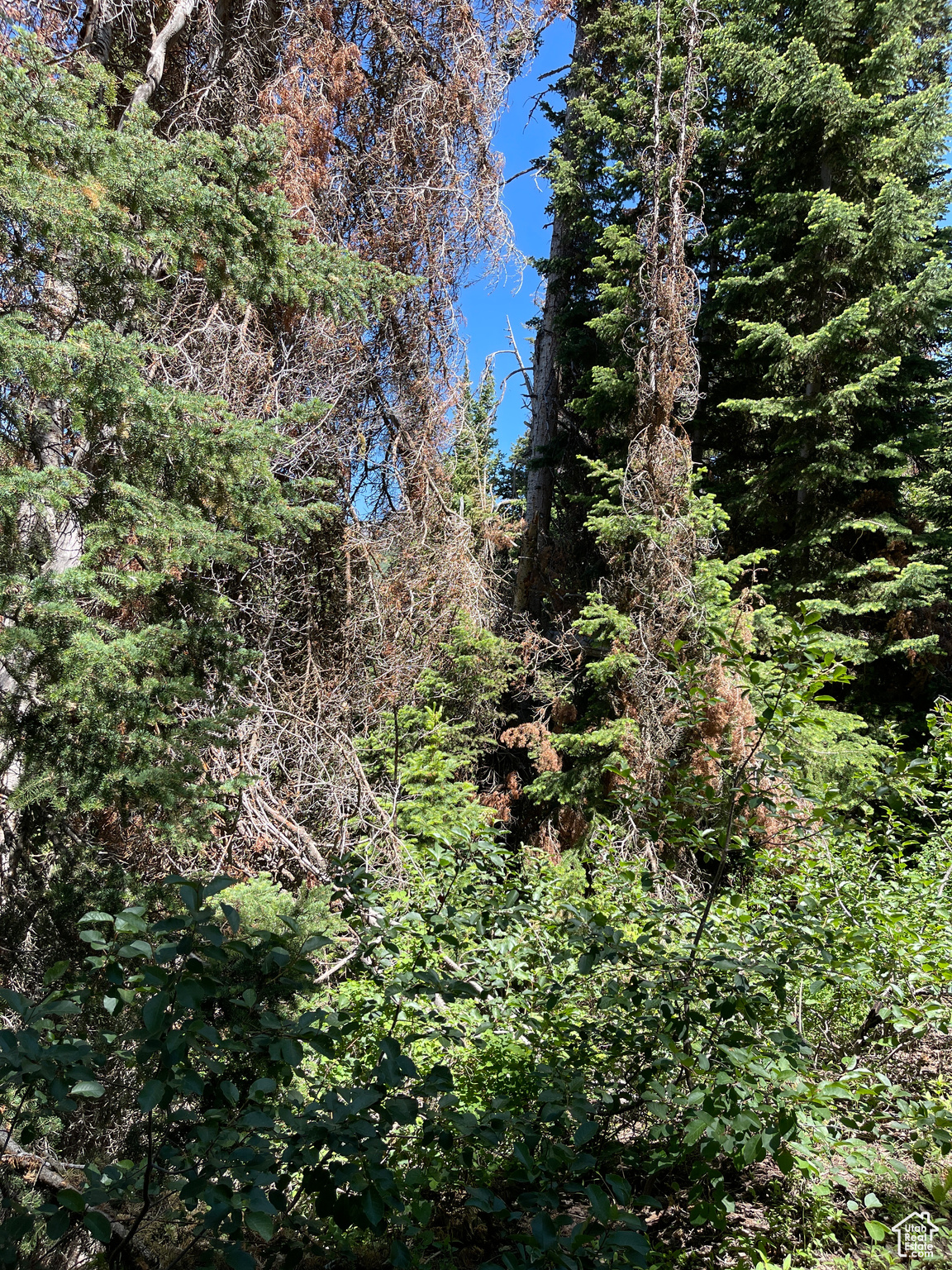 Land, Mt Pleasant, Utah image 20