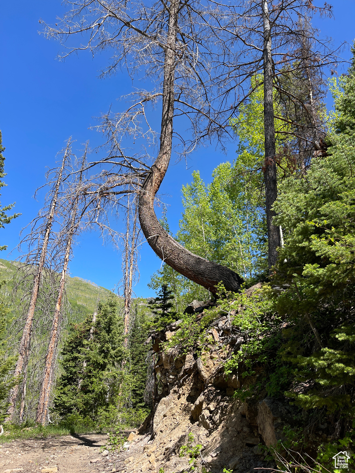 Land, Mt Pleasant, Utah image 37