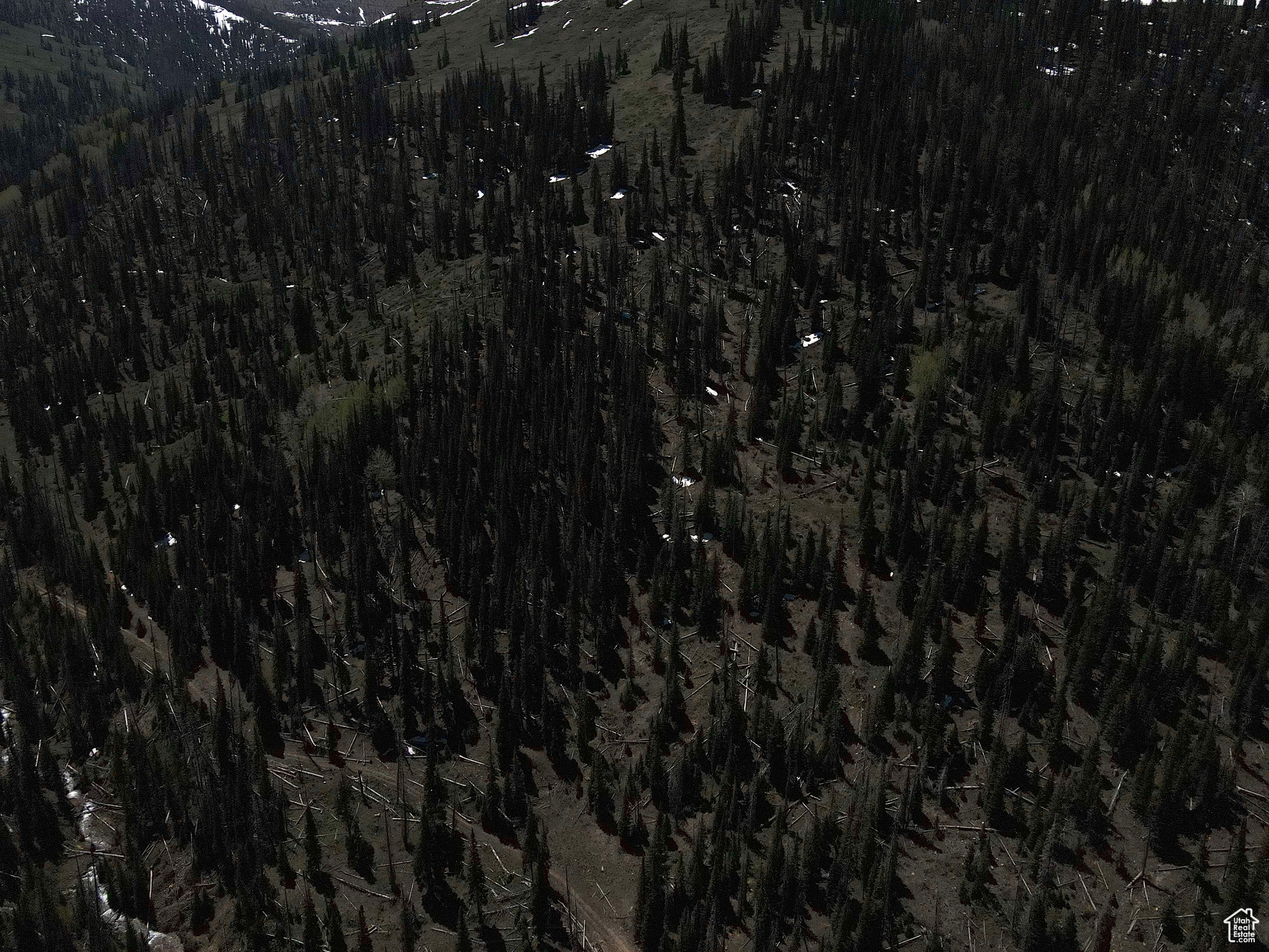 Land, Mt Pleasant, Utah image 35
