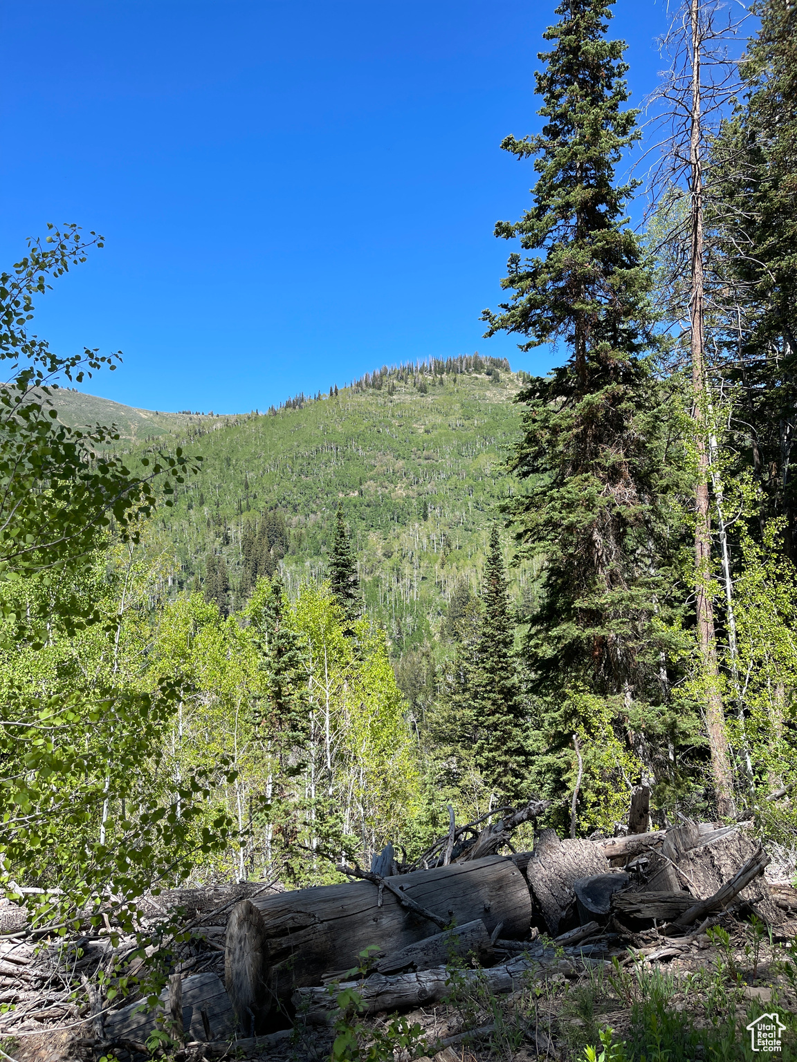Land, Mt Pleasant, Utah image 21