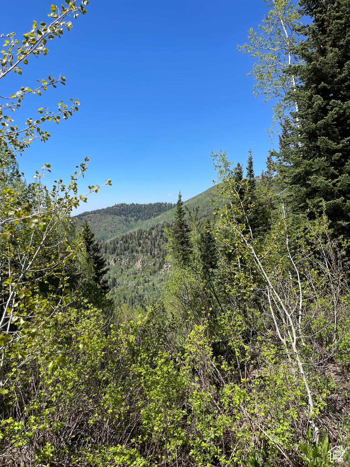 Land, Mt Pleasant, Utah image 5