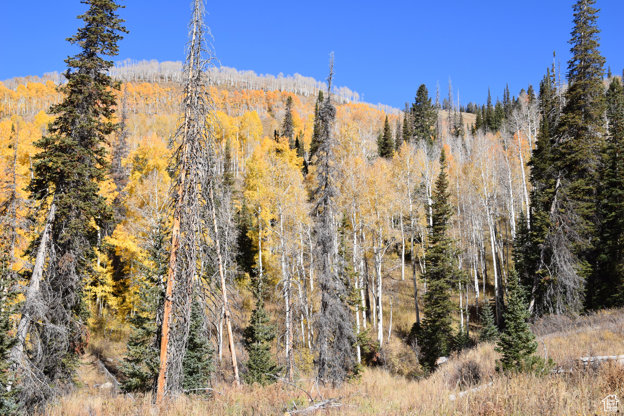 Land, Mt Pleasant, Utah image 26