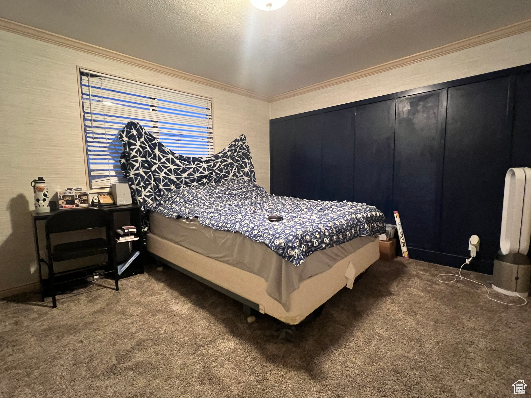 18750 N 8180, Mt Pleasant, Utah image 16