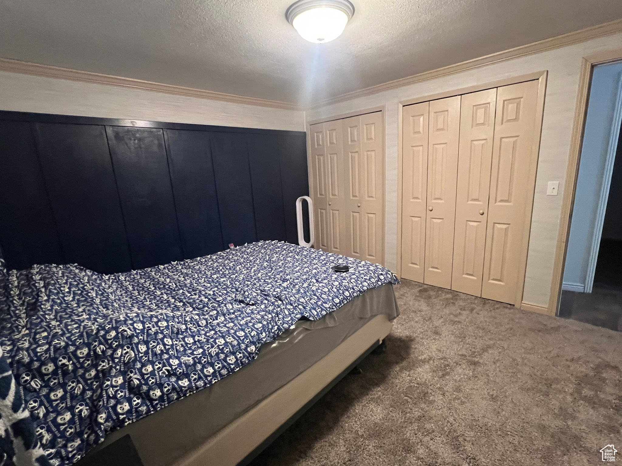 18750 N 8180, Mt Pleasant, Utah image 17