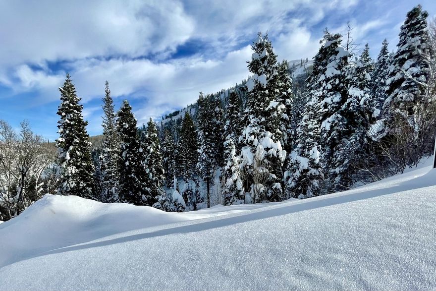 Set at the top of the Pineridge subdivision, this .89 acre homesite offers privacy, elevation, and direct adjacency to open public space. Midmountain trail is steps away for easy hiking and biking access to all of Park City. The lot is naturally sloped, creating opportunities for a thoughtful downhill design. Two potential driveway approaches allow flexibility for site planning and access. Architectural plans and a recent survey are included, saving time and providing a strong starting point for your build. A rare combination of seclusion, setting, and practical readiness in one of the area's most established mountain neighborhoods.  Building Plans and cost estimates are available upon request.