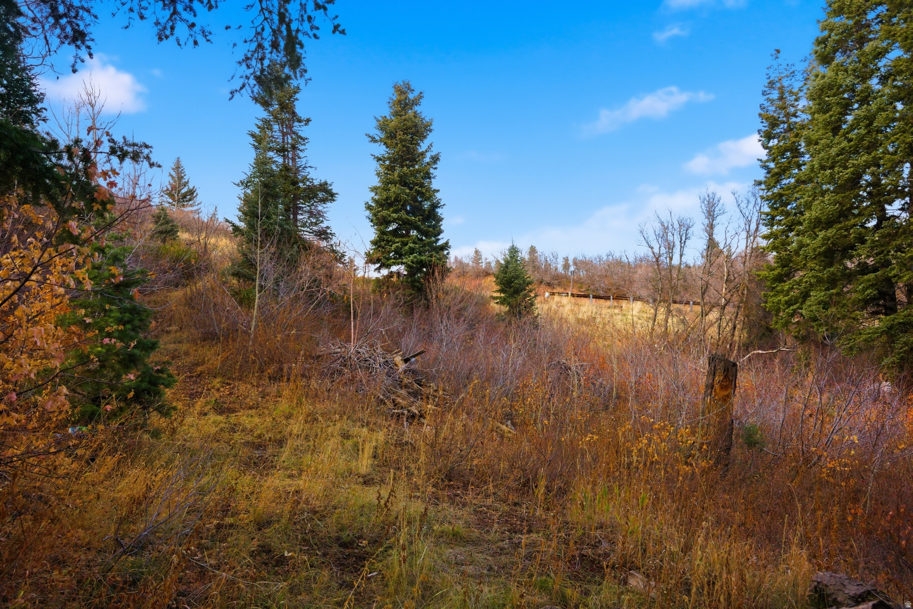 PINERIDGE SUBDIVISION - Land