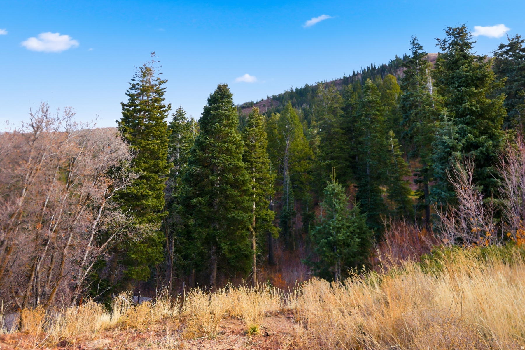 PINERIDGE SUBDIVISION - Land