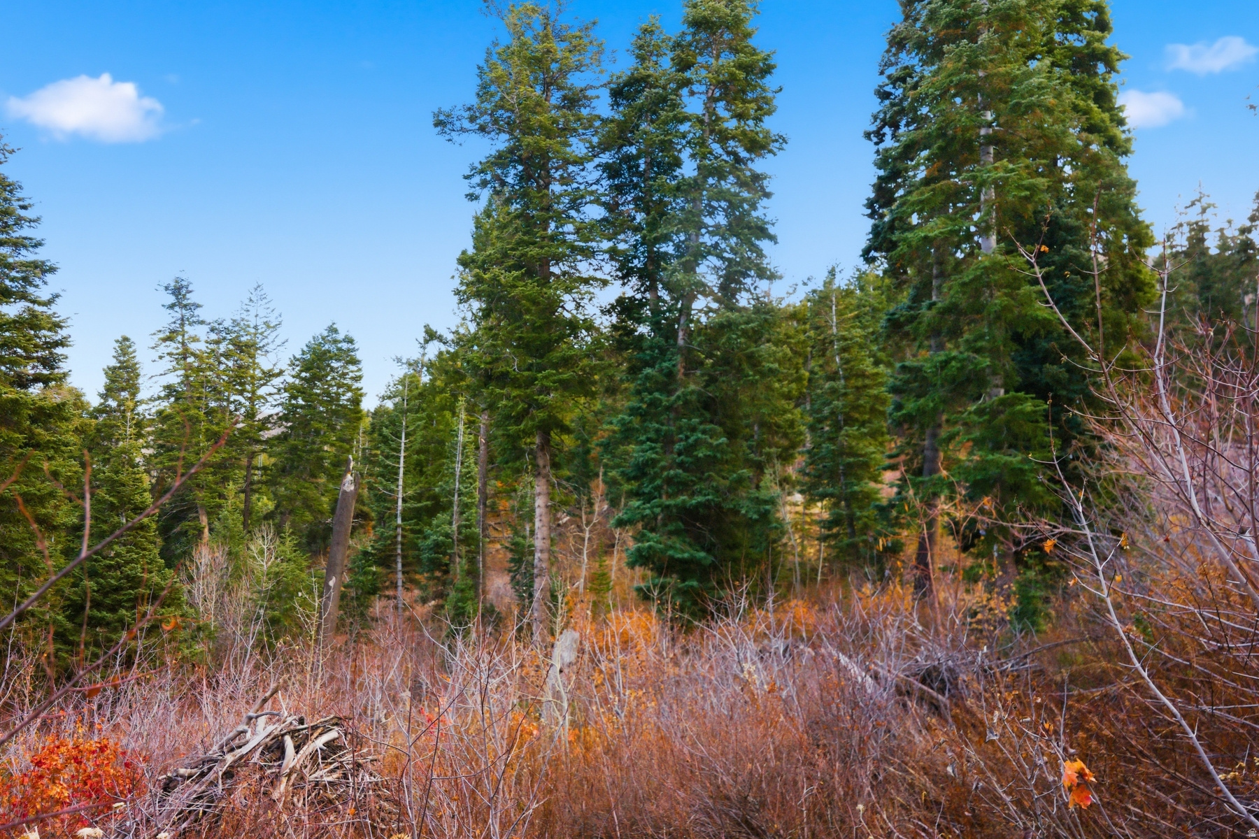 PINERIDGE SUBDIVISION - Land