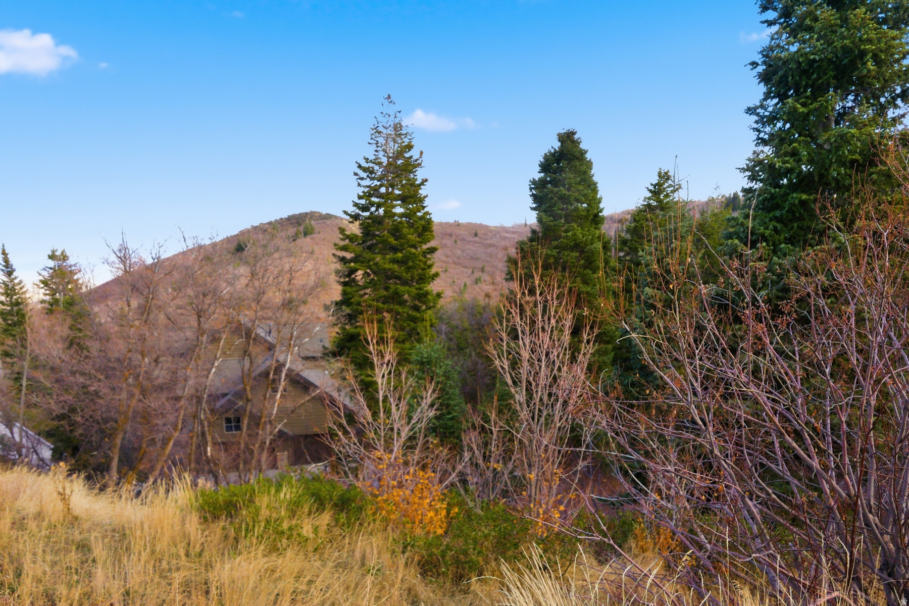 PINERIDGE SUBDIVISION - Land