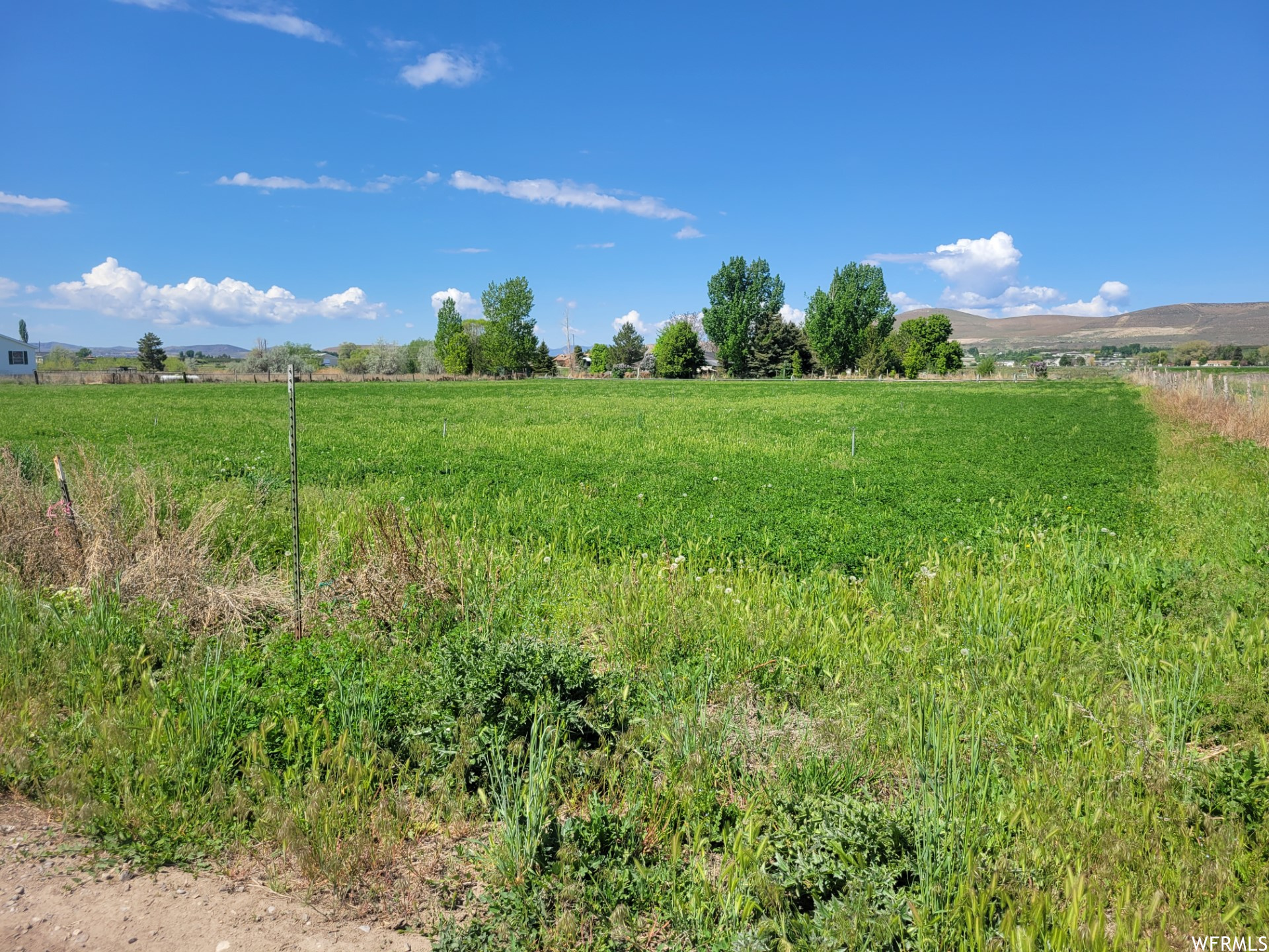 1252 S 1950, Payson, Utah image 4