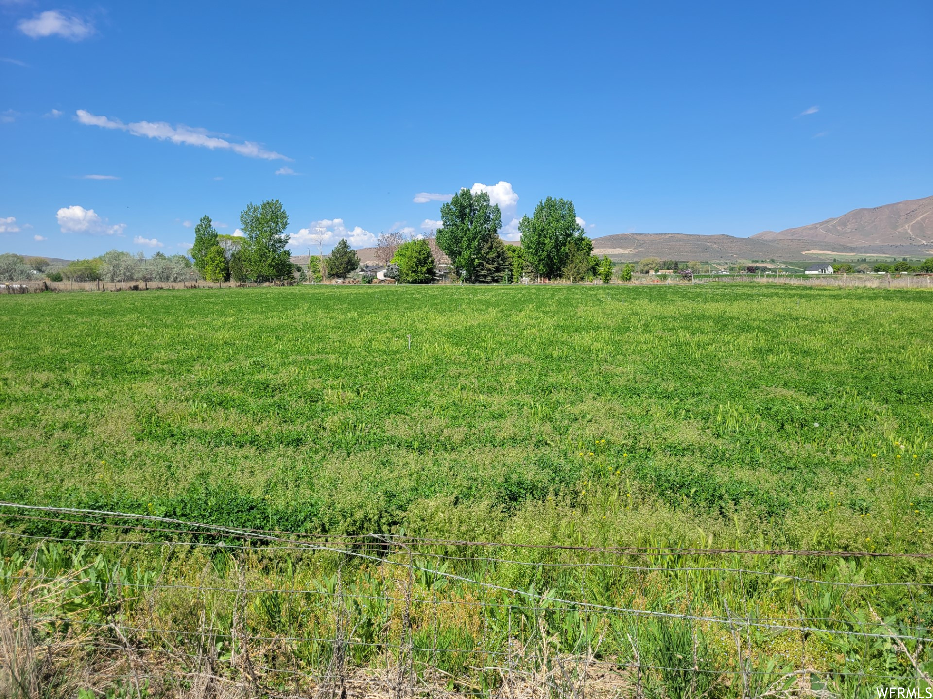 1252 S 1950, Payson, Utah image 1