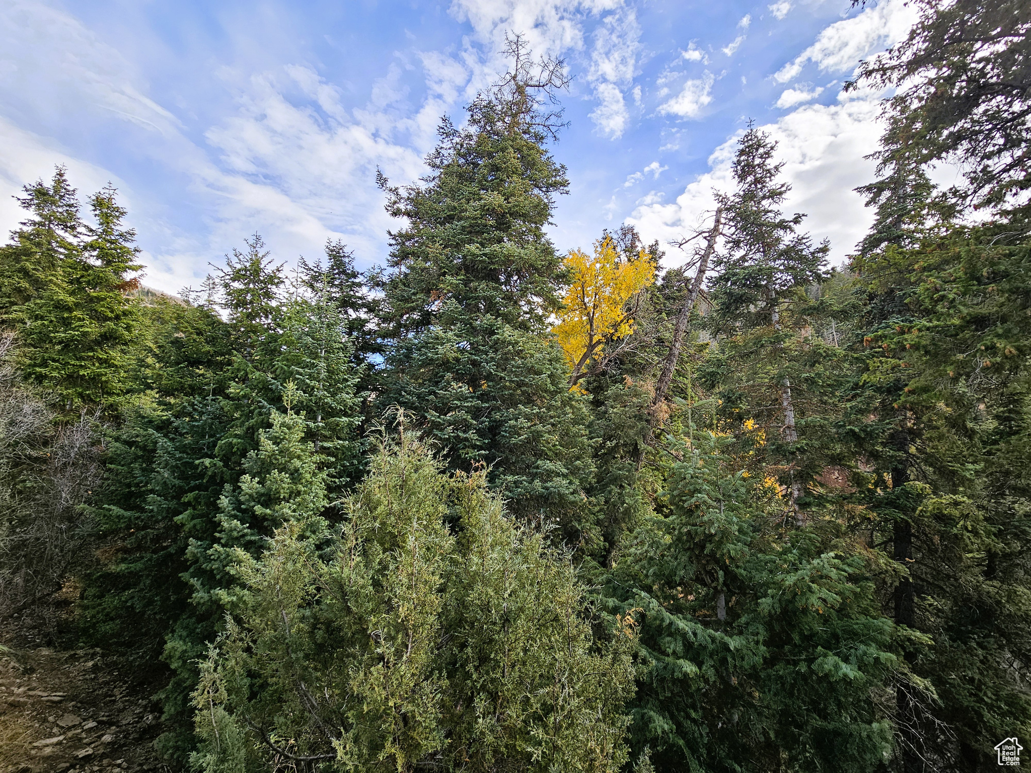 PINE CREEK RANCH ACRES SUBDIVISION - Land