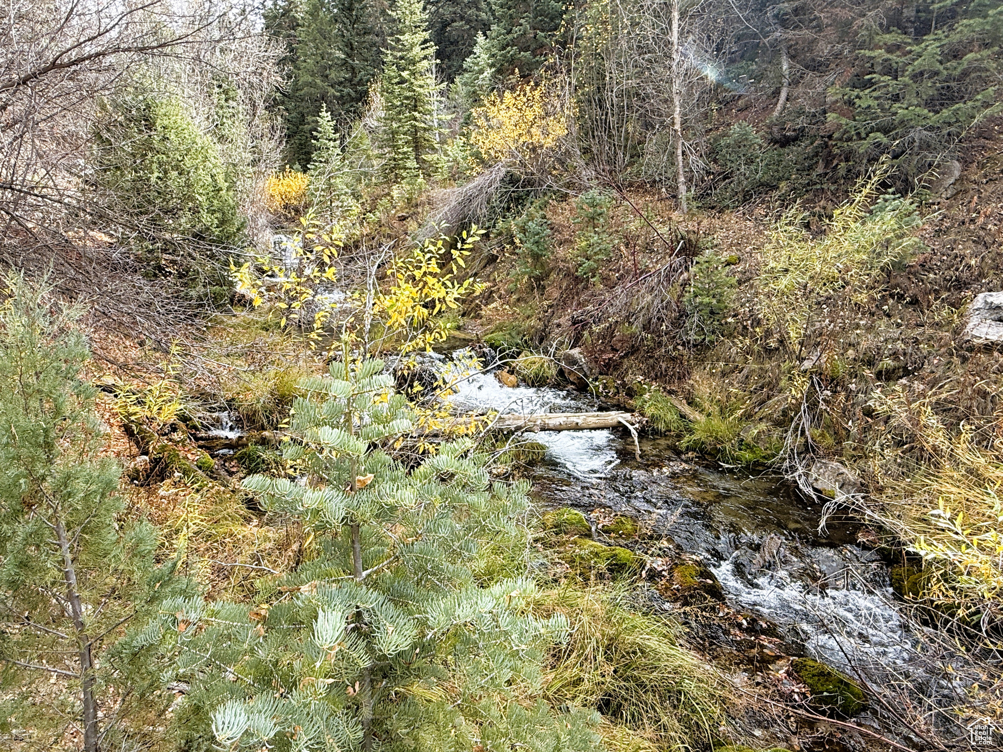 PINE CREEK RANCH ACRES SUBDIVISION - Land