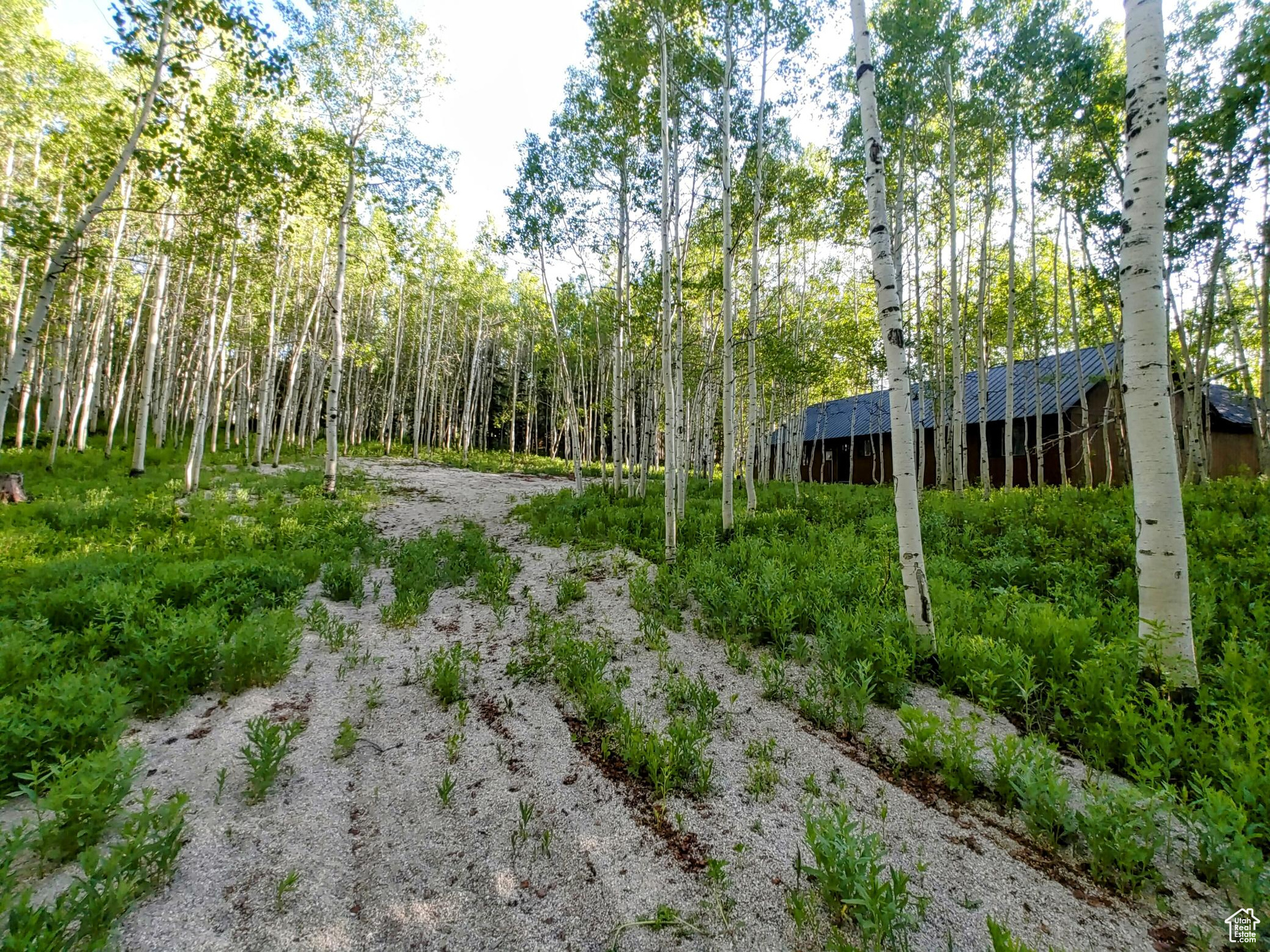 TIMBER LAKES - Residential