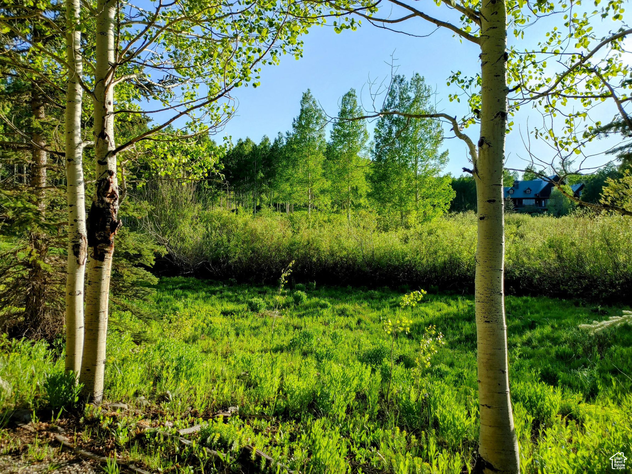 TIMBER LAKES - Residential