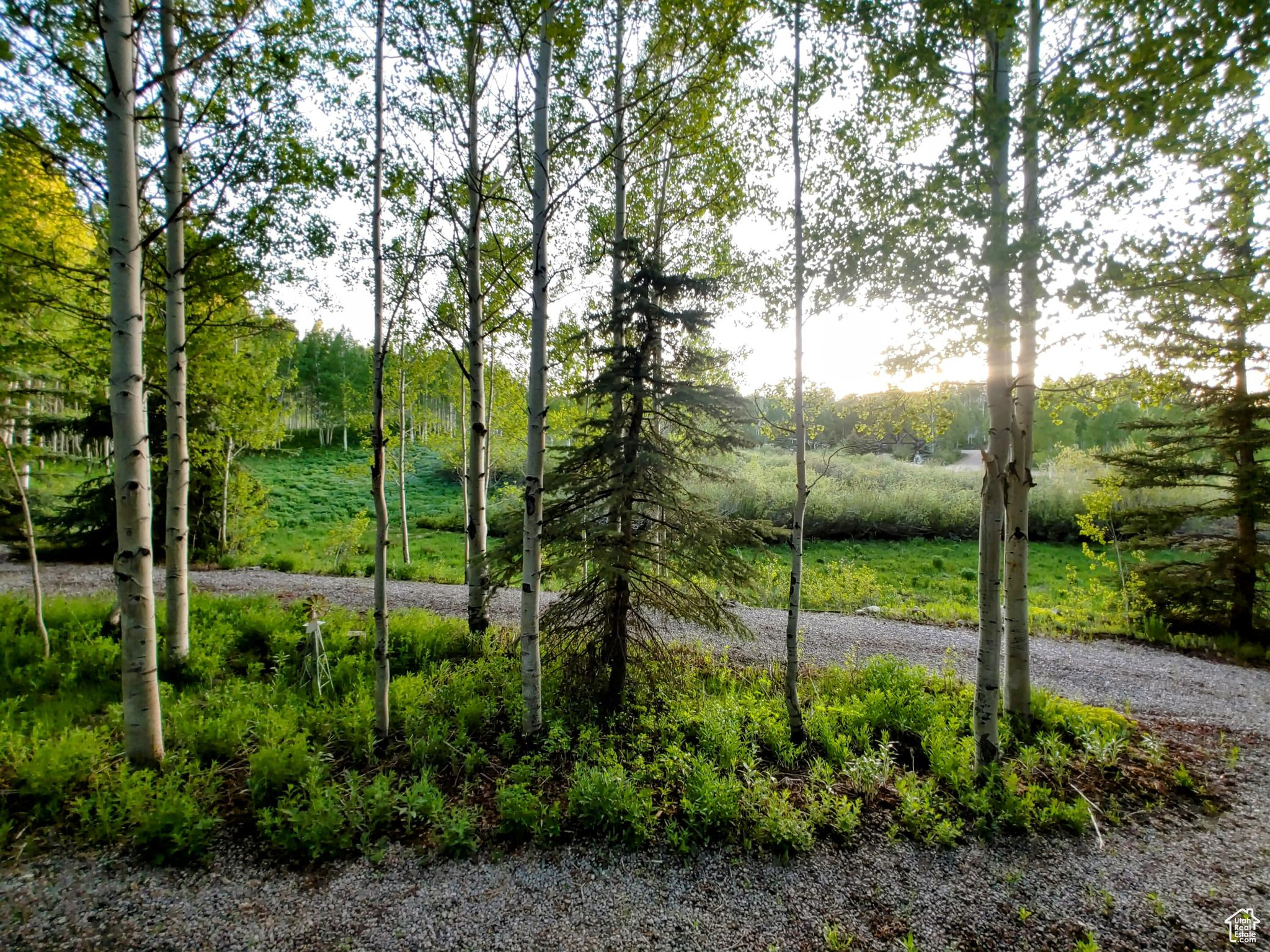 TIMBER LAKES - Residential