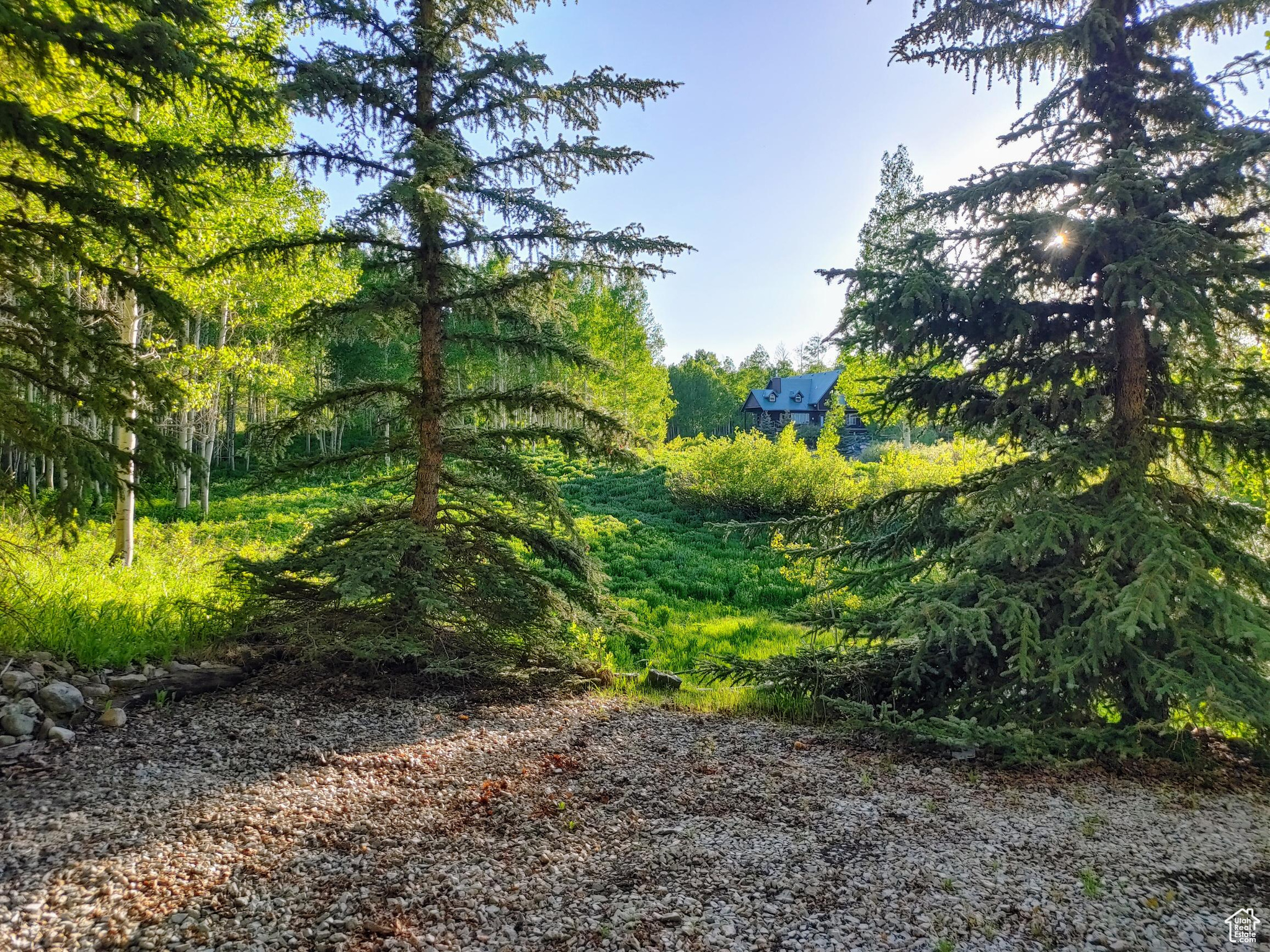 TIMBER LAKES - Residential