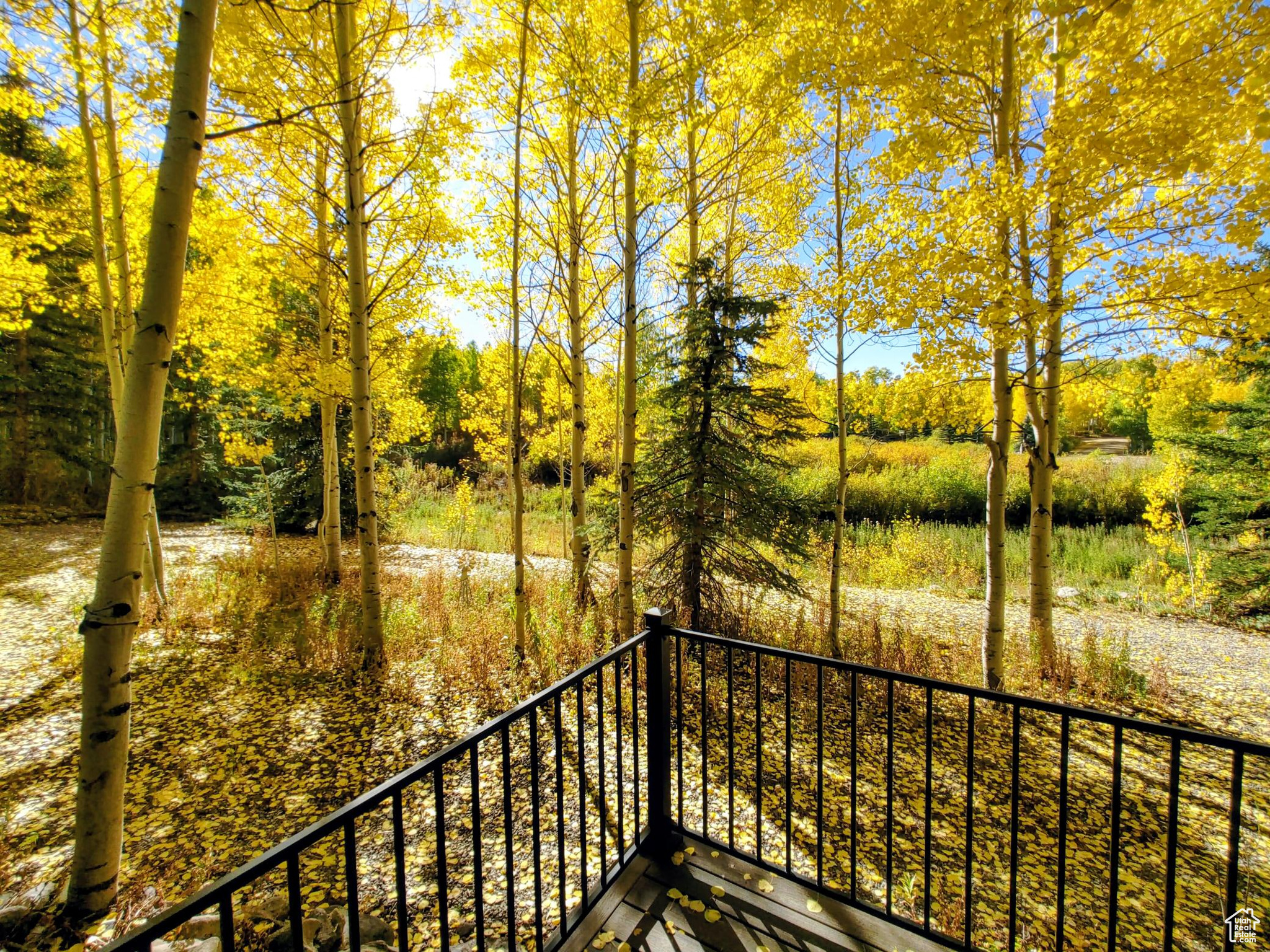 TIMBER LAKES - Residential