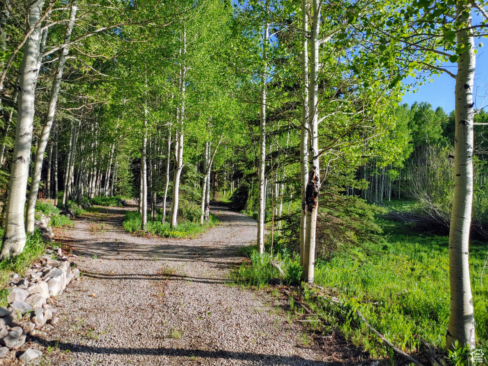 TIMBER LAKES - Residential