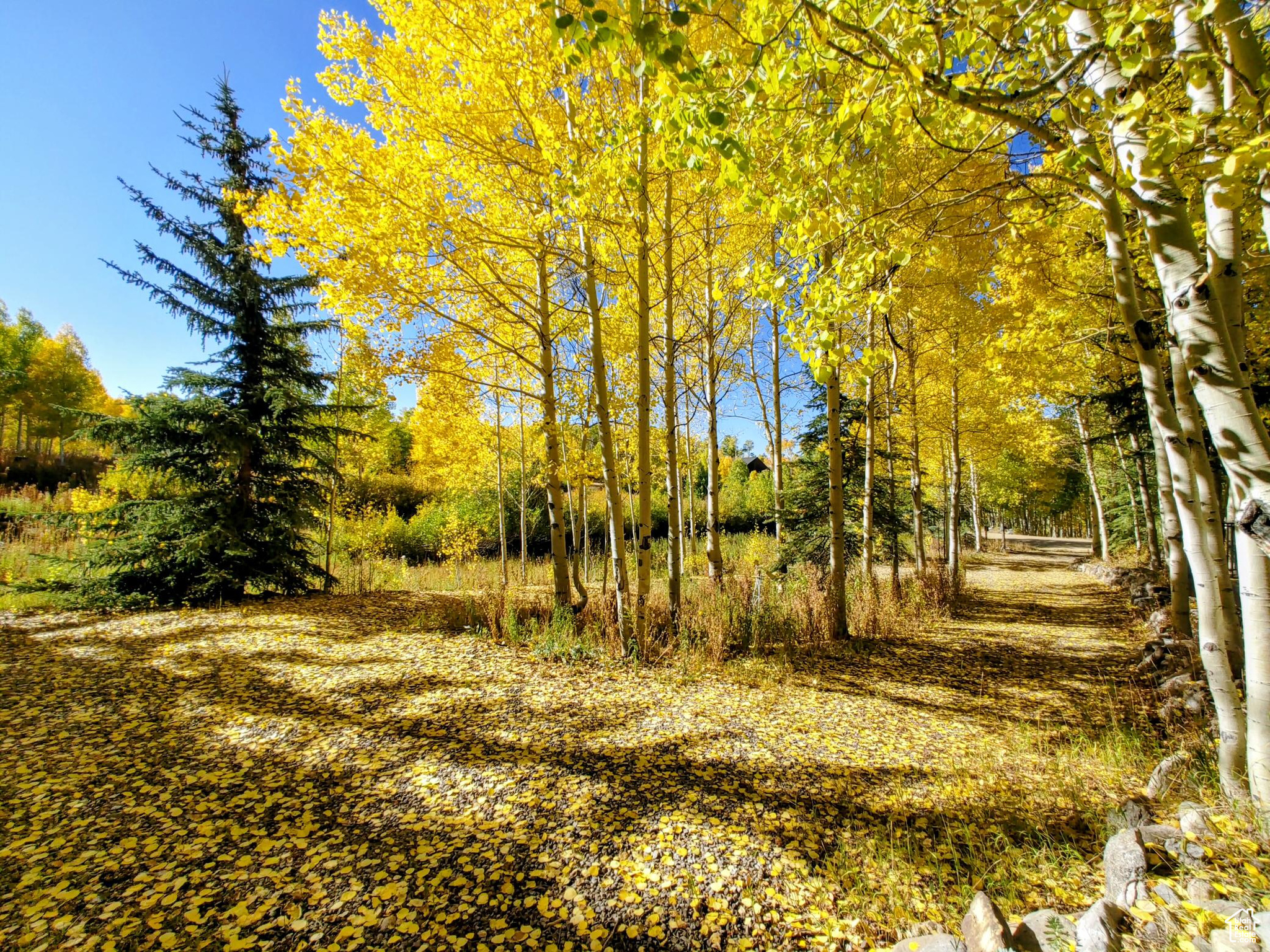 TIMBER LAKES - Residential