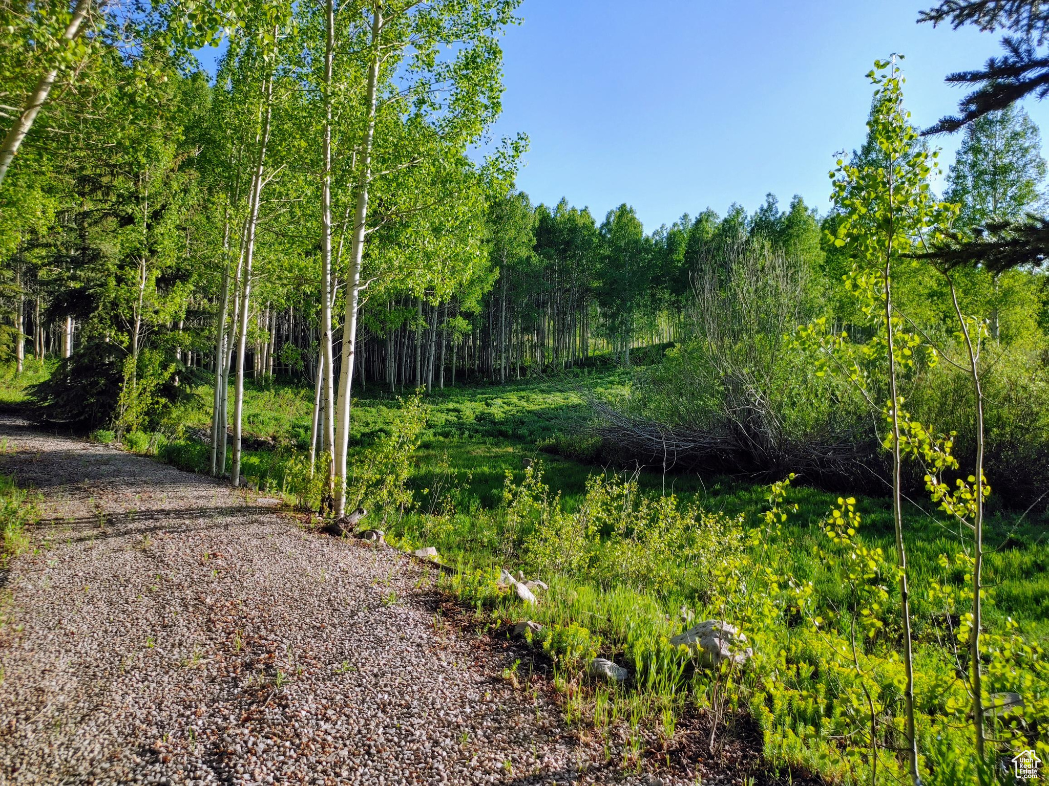 TIMBER LAKES - Residential