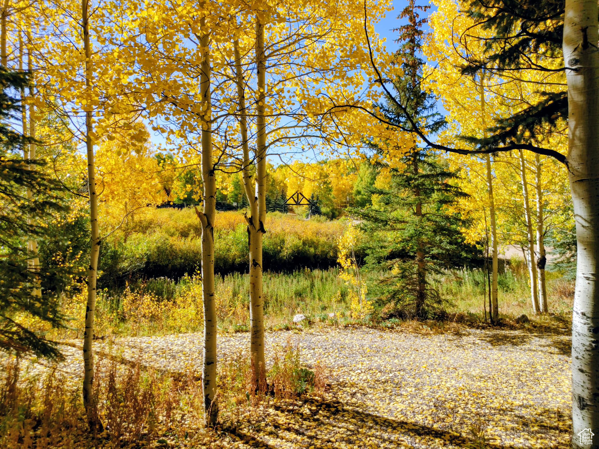 TIMBER LAKES - Residential