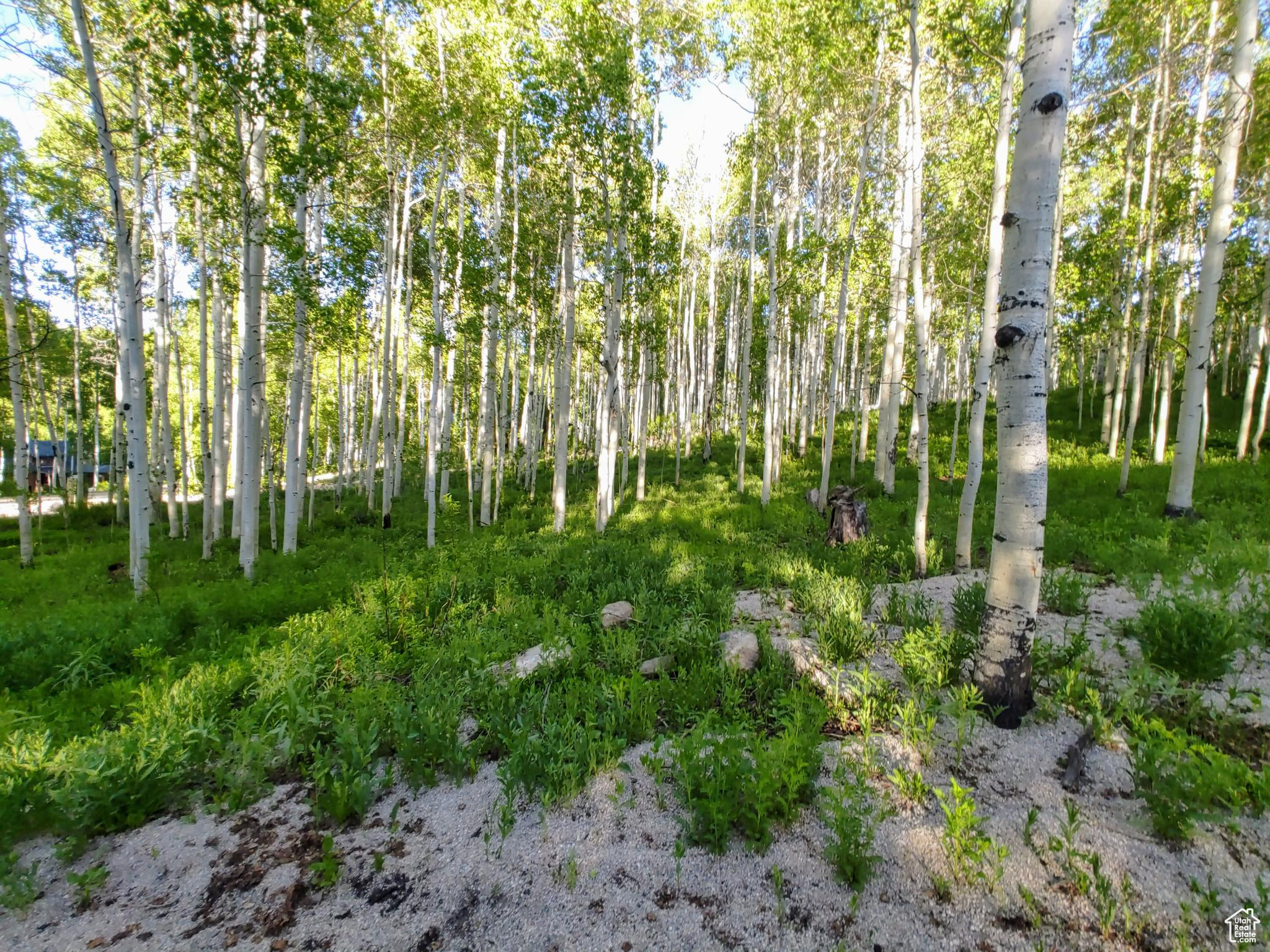 TIMBER LAKES - Residential