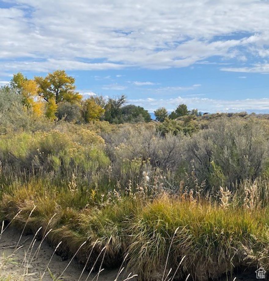 Square footage figures are provided as a courtesy estimate only and were obtained from ~COURT HOUSE RECORDS~ .  Buyer is advised to obtain an independent measurement.    Land for Sale  1.33 Acres of Possibility!   Looking for the perfect spot to build your dream home? This 1.33-acre lot offers the space, peace, and potential you've been searching for!  Spacious & serene   Ideal for your custom home   Endless possibilities  Land is partically fenced. Power and Water connections are located at the road.    Don't miss this opportunity!