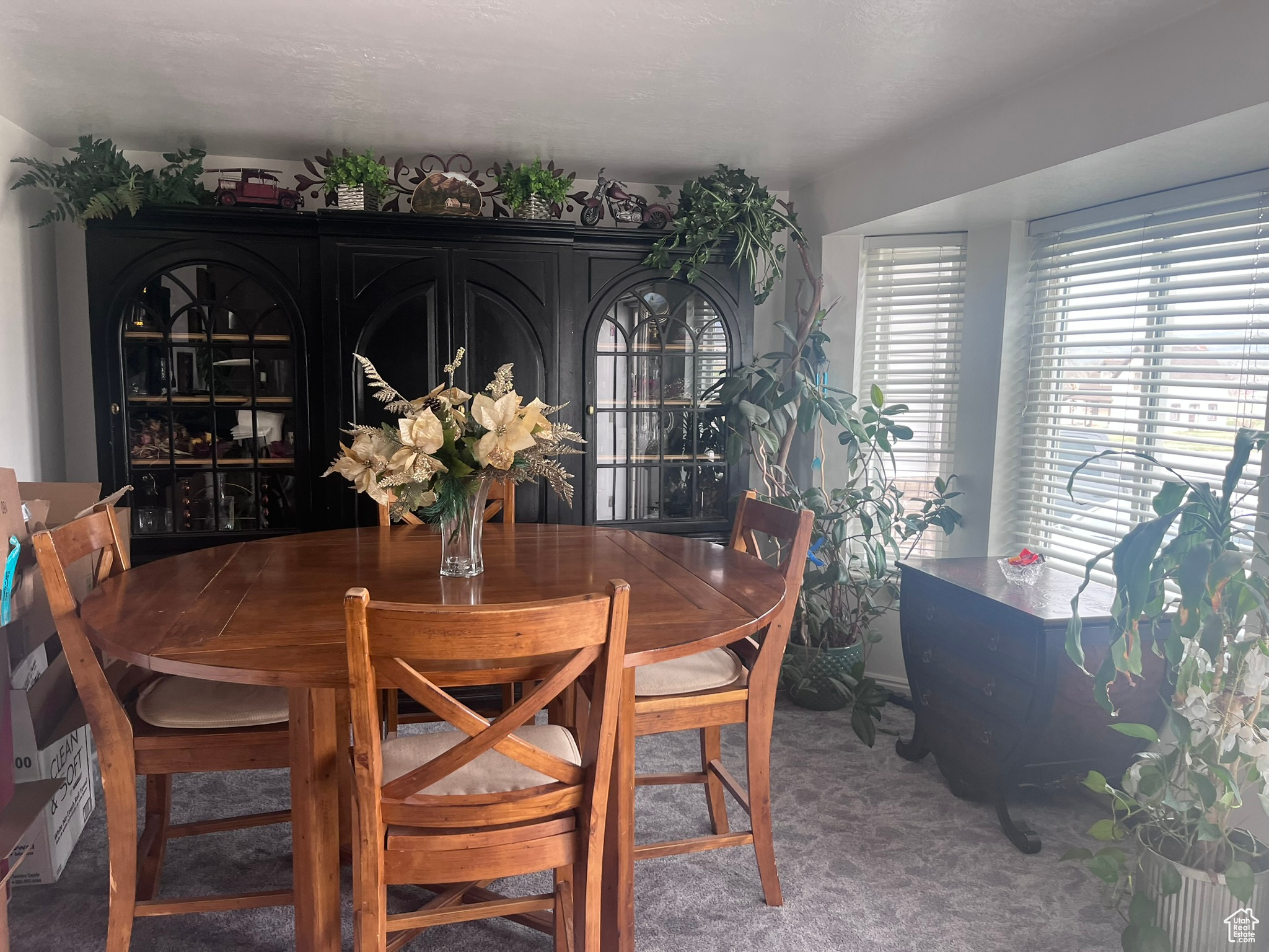 185 W 600, Mt Pleasant, Utah image 18