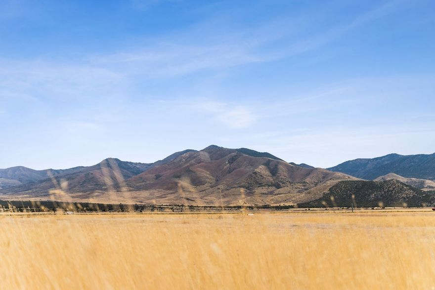 Discover 7.65 acres of prime land in Fillmore, where tranquility and opportunity come together. This expansive parcel offers endless possibilities, build your custom estate, create a hobby farm, cultivate gardens or crops, or simply enjoy the privacy and space of your own stretch of open Utah landscape. Located in an area experiencing significant growth, Fillmore is quickly becoming a hotspot for AI development and major corporate expansion, thanks to its exceptional air quality and strategic positioning. This property offers not only natural beauty, but strong long-term investment potential. A rare chance to own acreage in a market on the rise. Need more land? The neighboring parcel is also available, giving the option to secure a full 15 acres. (Lots 3 & 4) Build your vision here-your future, your pace, your place.