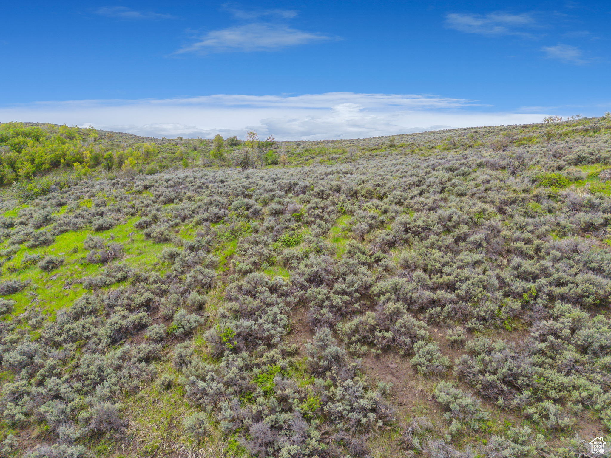 PAINTED SHORES BEACH - Land