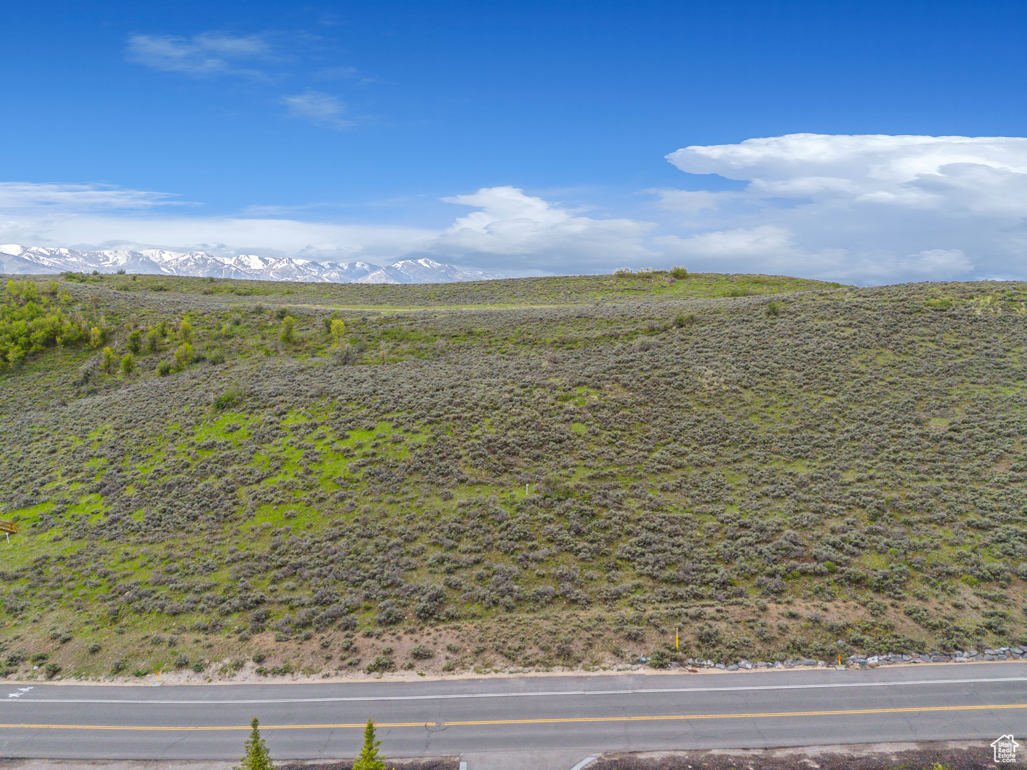 PAINTED SHORES BEACH - Land