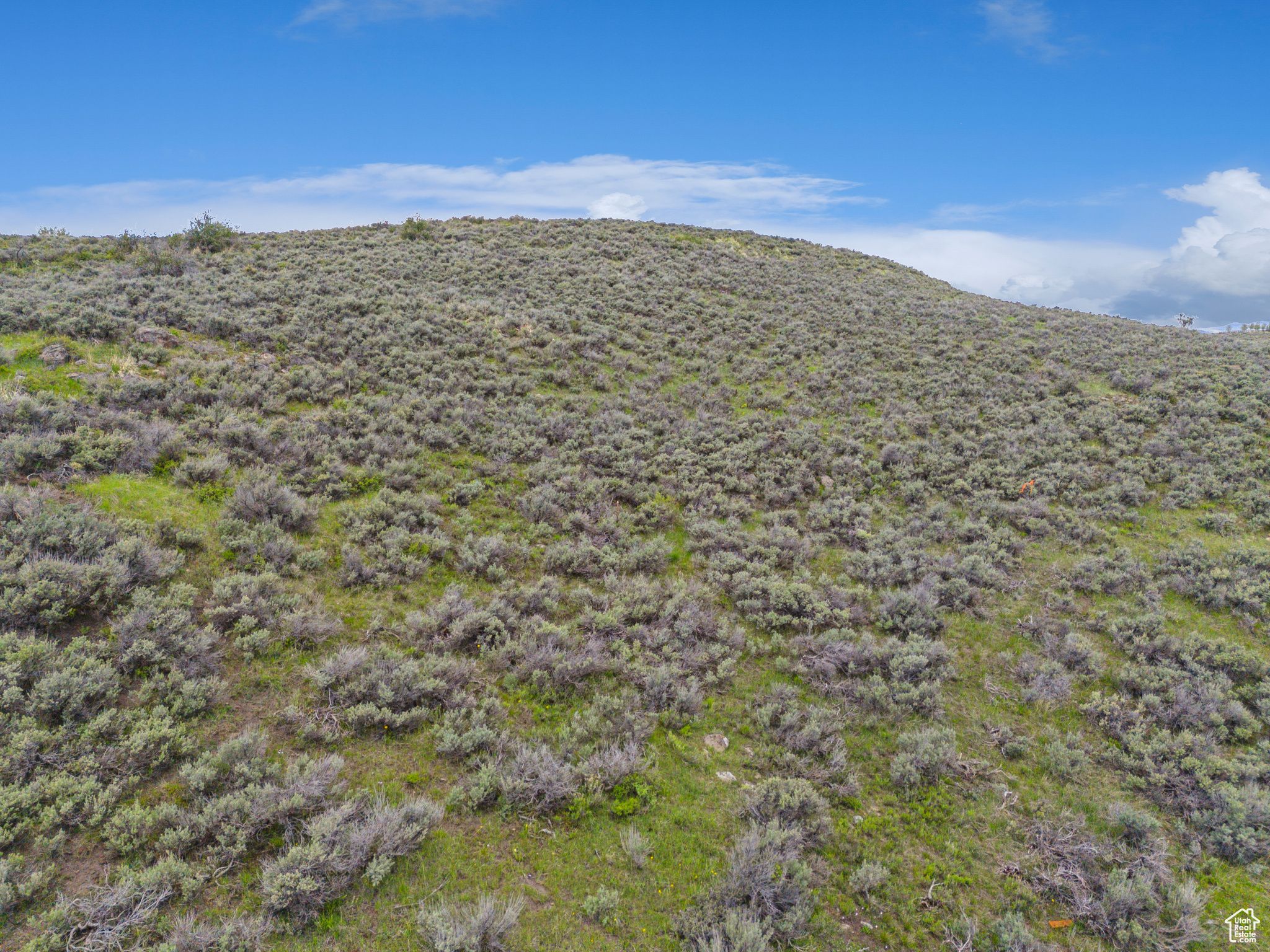 PAINTED SHORES BEACH - Land