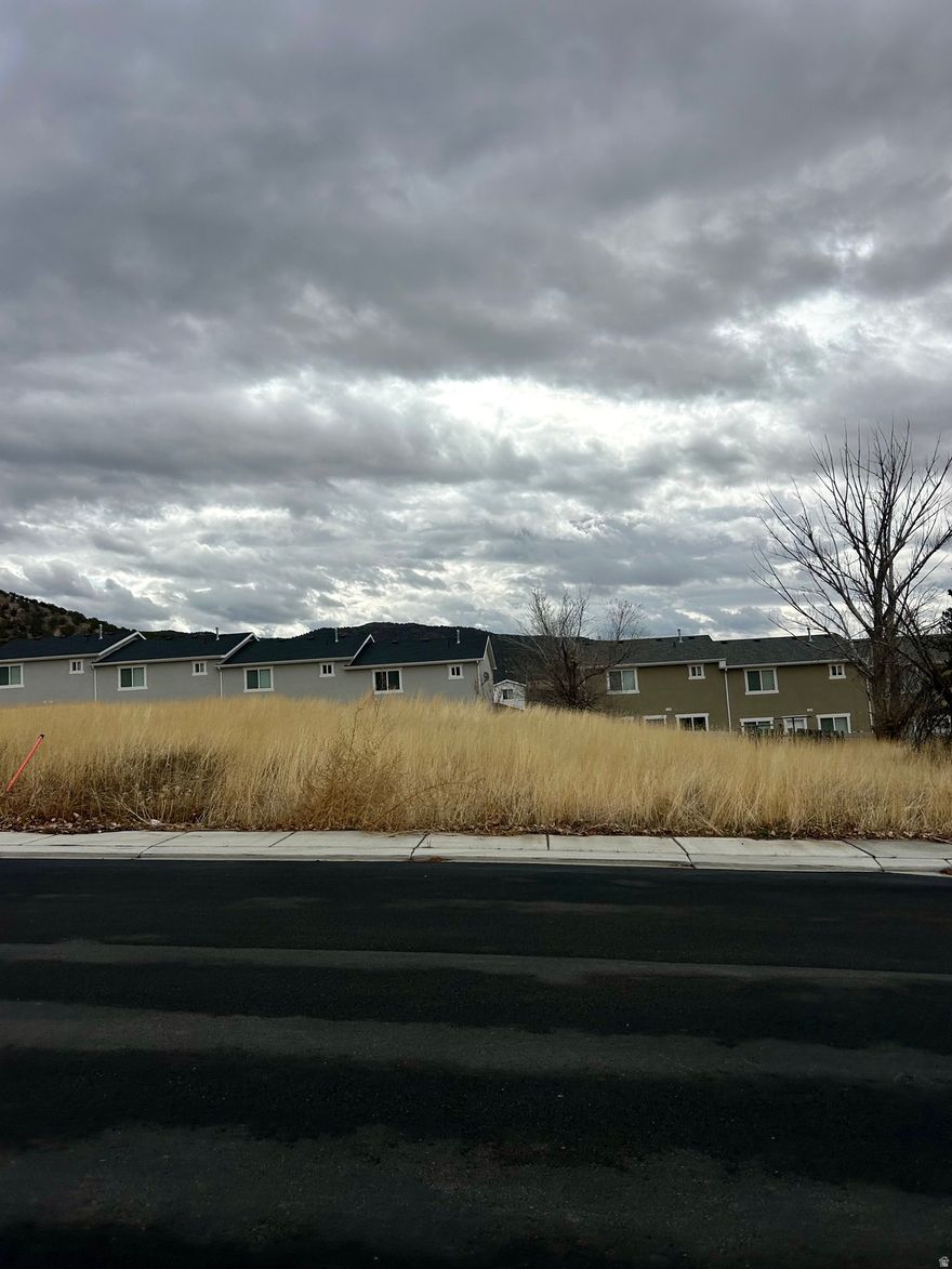 Build your dream home on this 0.18 acre lot in the charming town of Nephi! Enjoy beautiful mountain views and peaceful small-town living, with close access to I-15 and Utah County. Bring your own builder or work with the seller to create the perfect home for your needs. Feel free to visit the lot anytime, or schedule a showing to review lot boundaries.