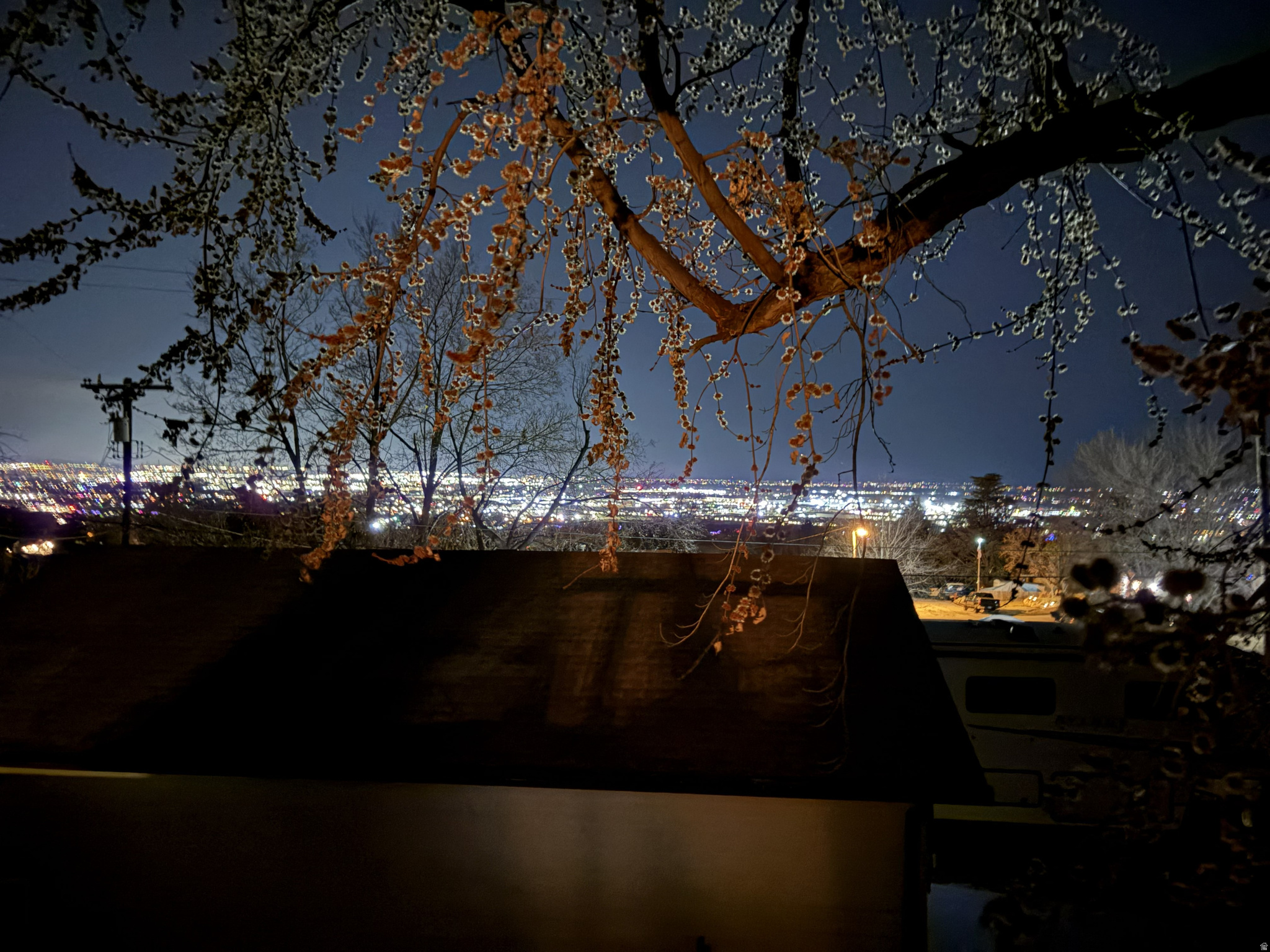 MOUNTAIN ORCHARD ESTATES - Residential