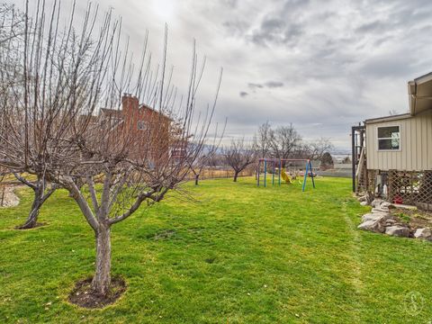 Tiny photo for 3900 N 1000 W, Pleasant View, UT 84414 (MLS # 2137819)
