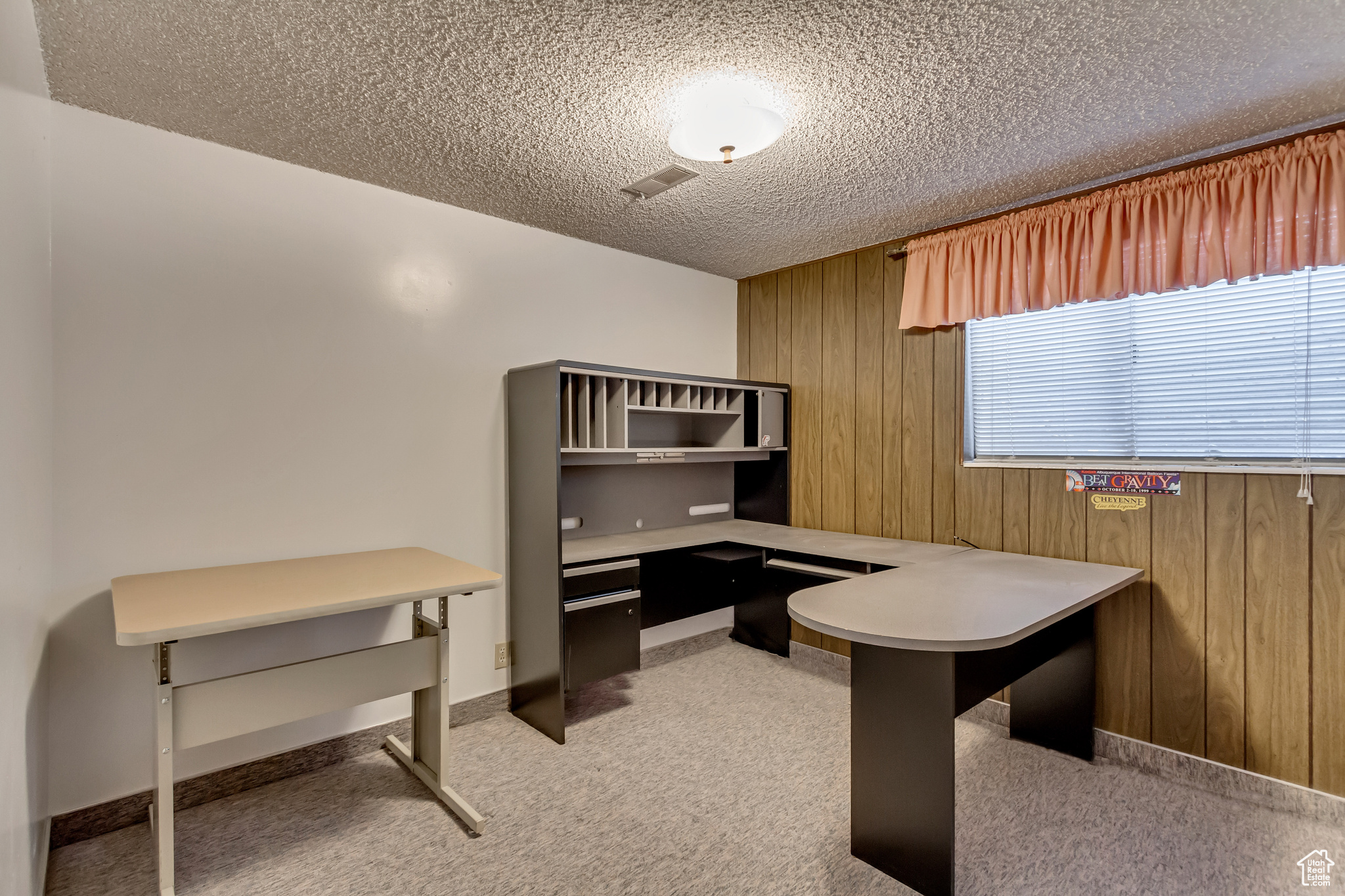 10298 S Crocus St, Sandy, Utah image 22