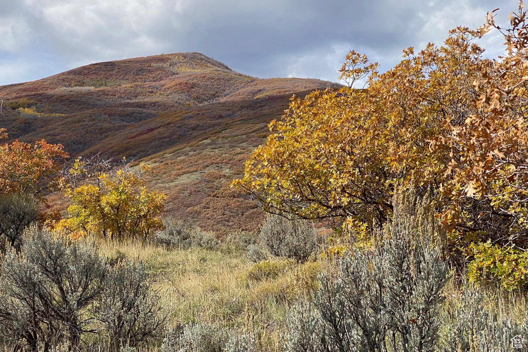 Land, Midway, Utah image 7