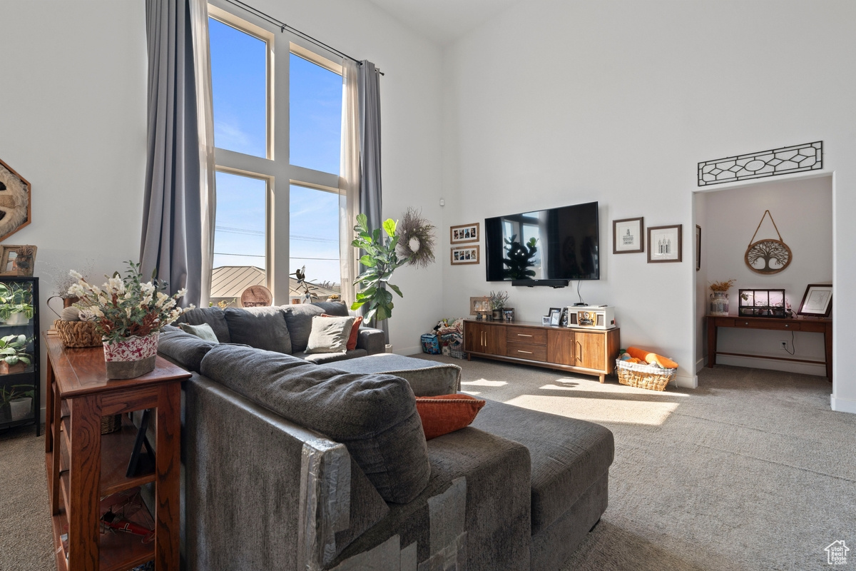 BRANDON PARK - Residential