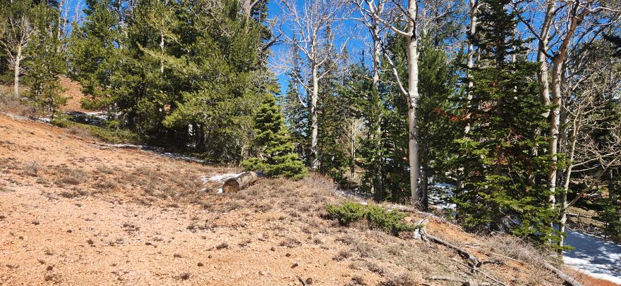 Great Building lot in Ski View estates with amazing views.