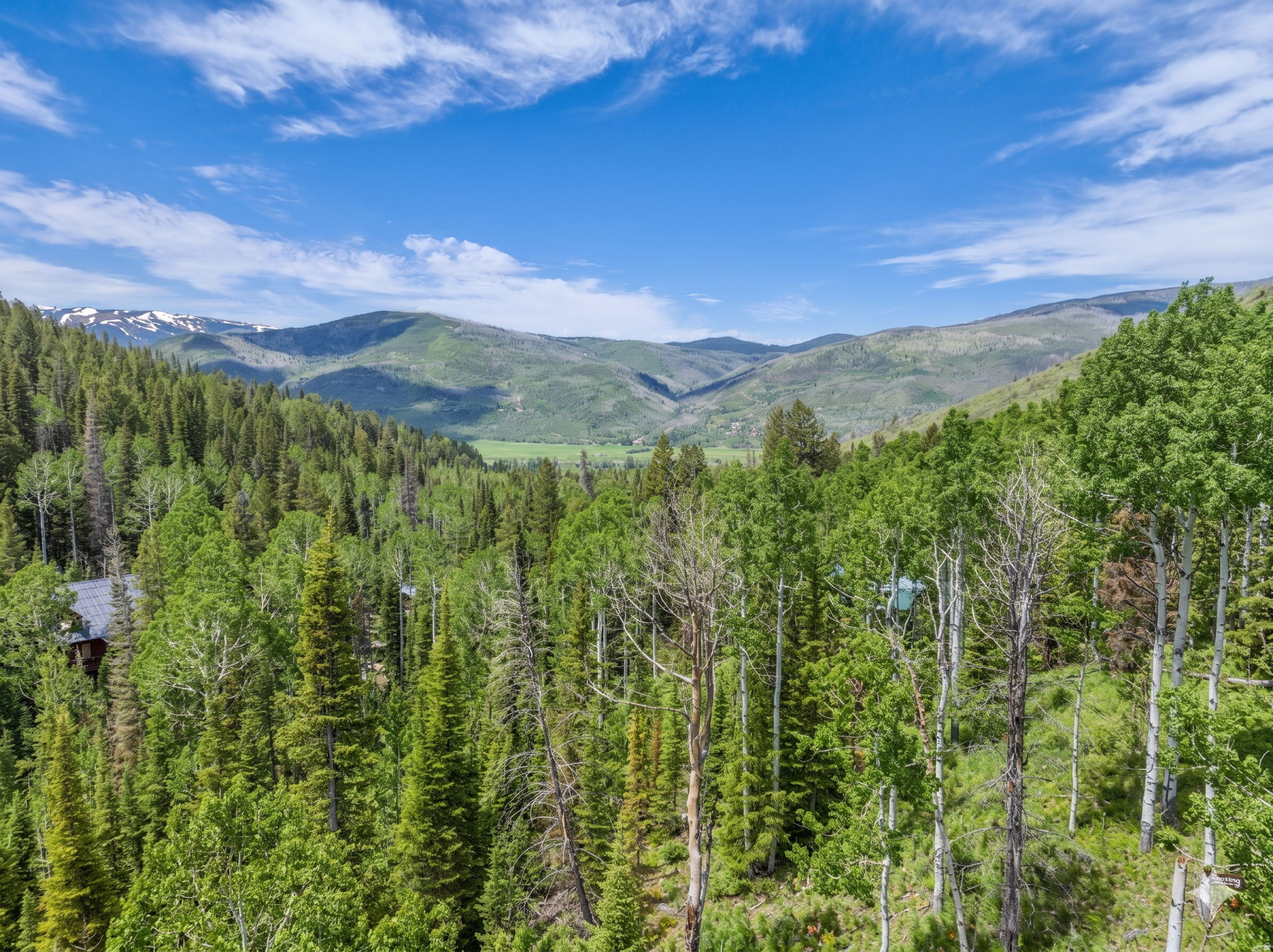 PINE MOUNTAIN - Land