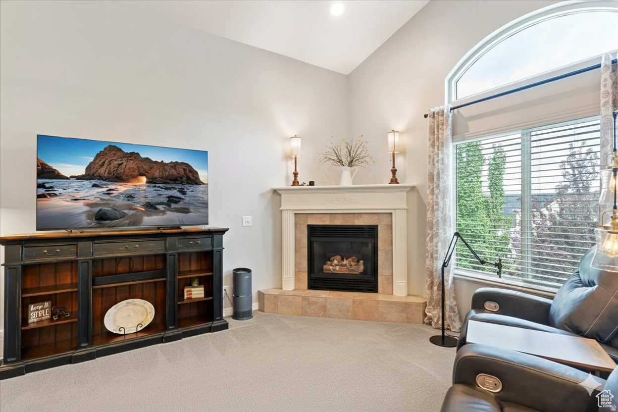 HILLHAVEN - Residential