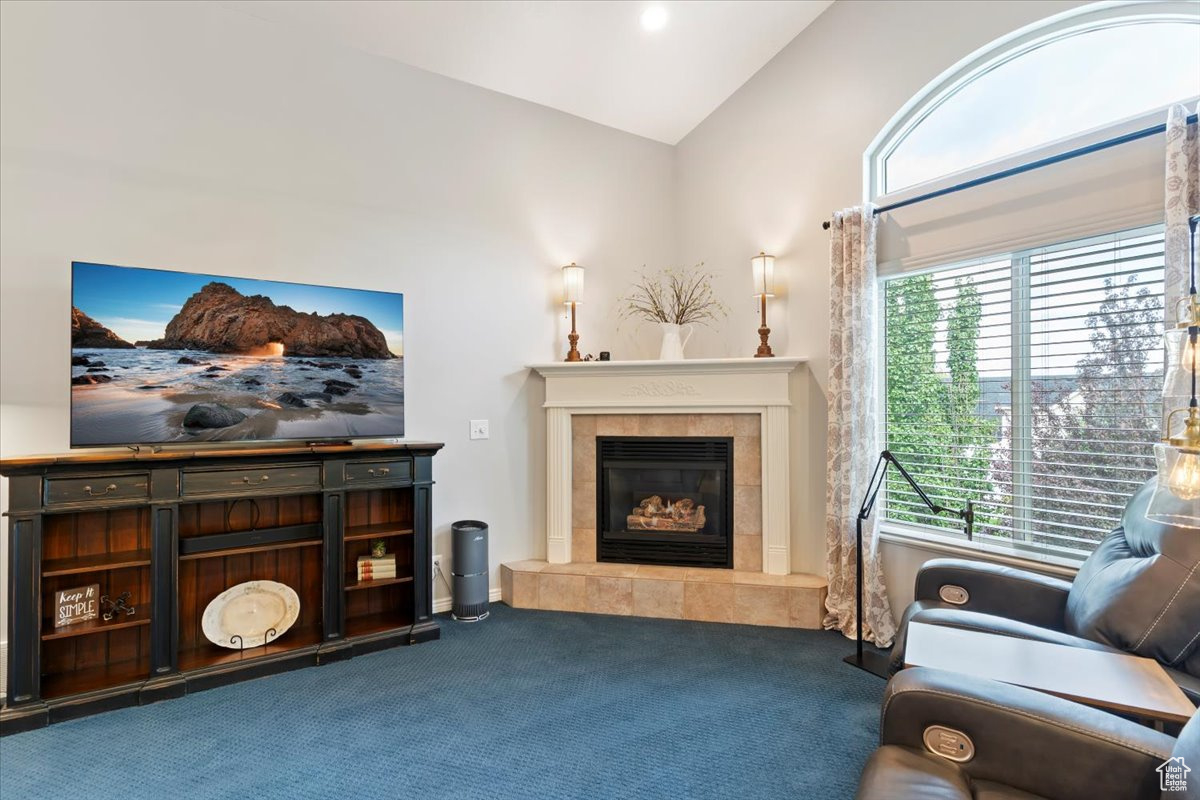HILLHAVEN - Residential
