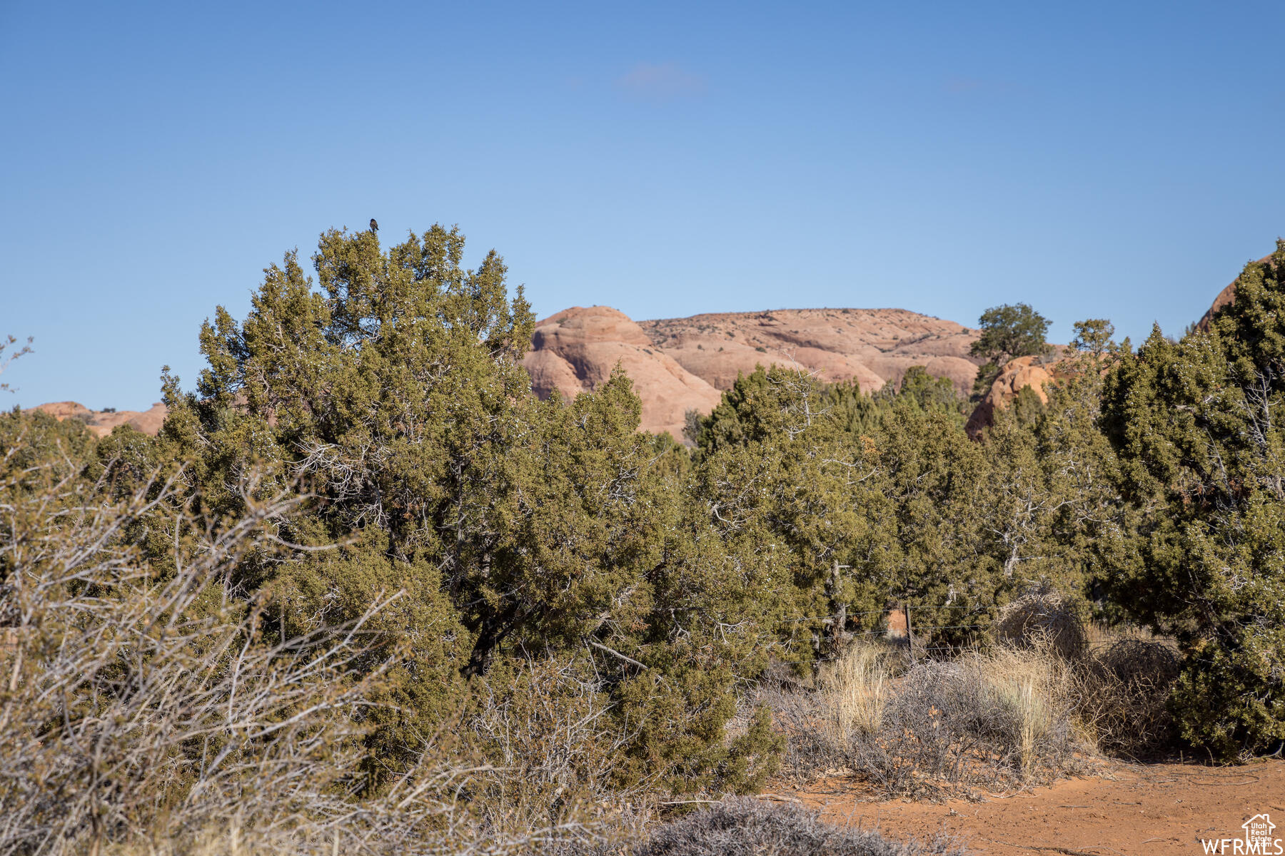 3519 E Arena Roja #24, Moab, Utah image 23