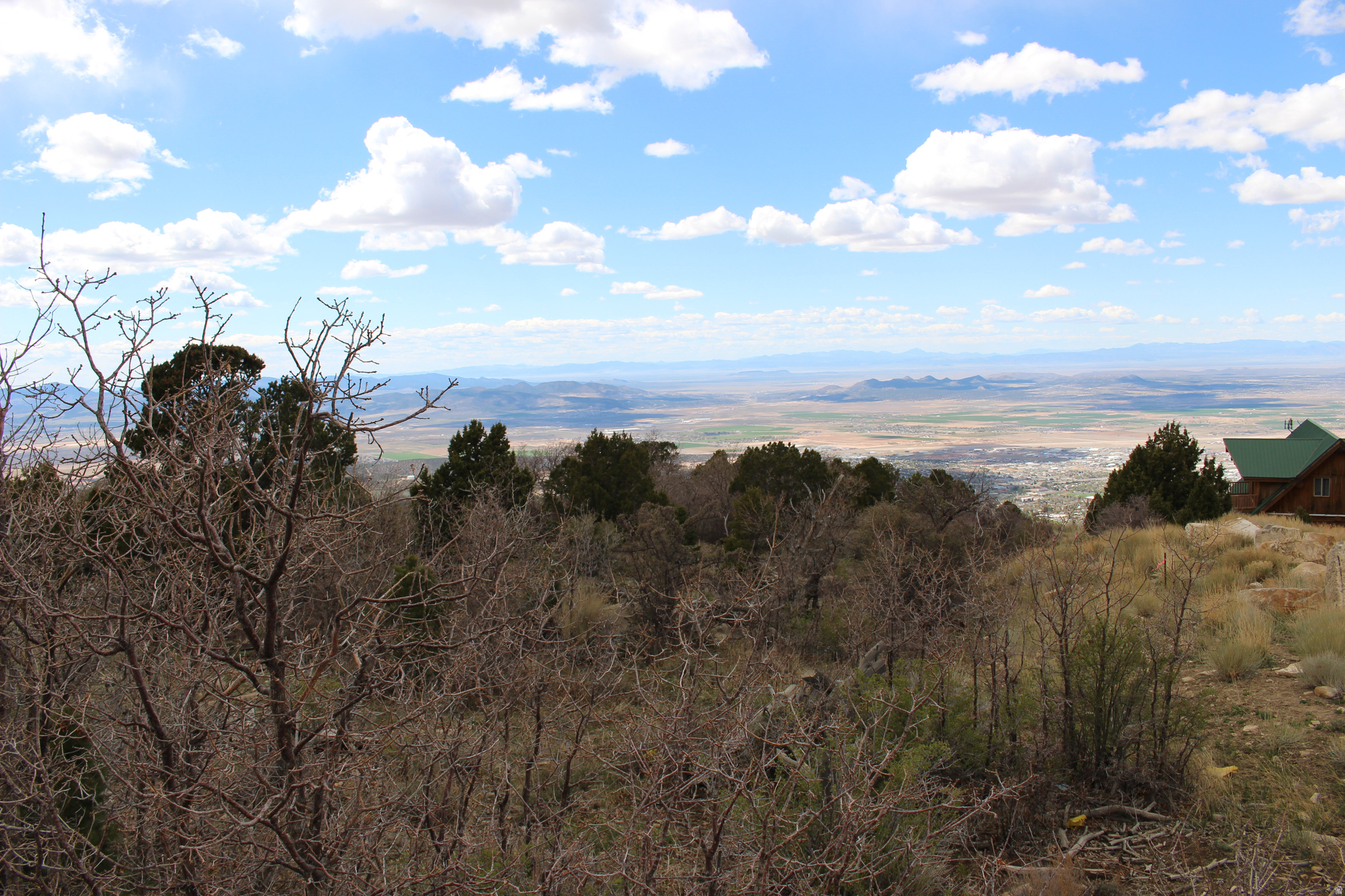 CEDAR HIGHLANDS - Land